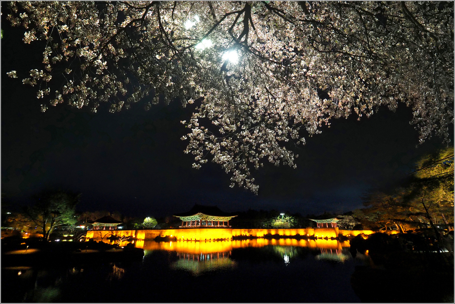 P3310061 (2)-002.jpg