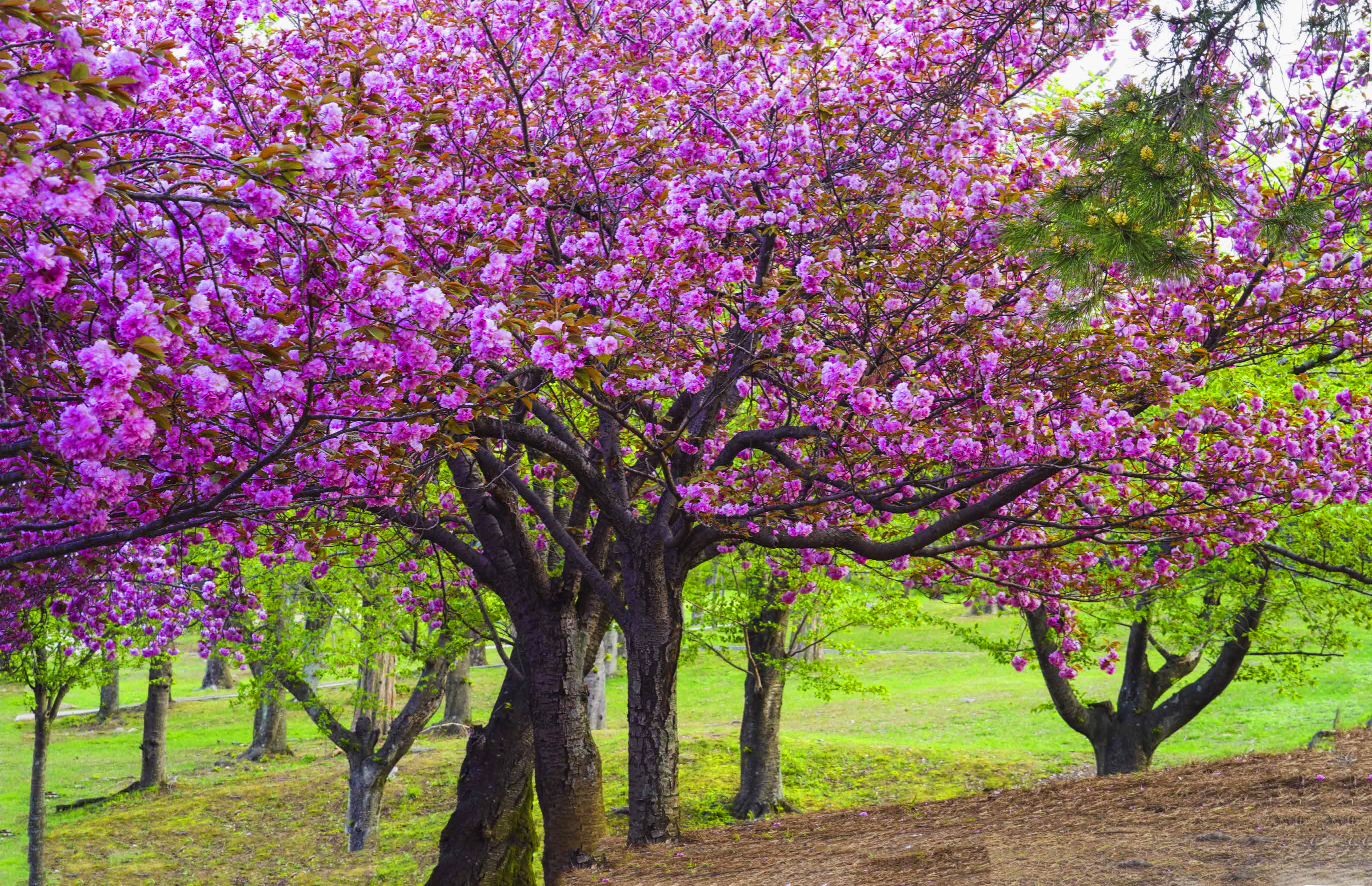 크기변환_DSC01014 사본.jpg