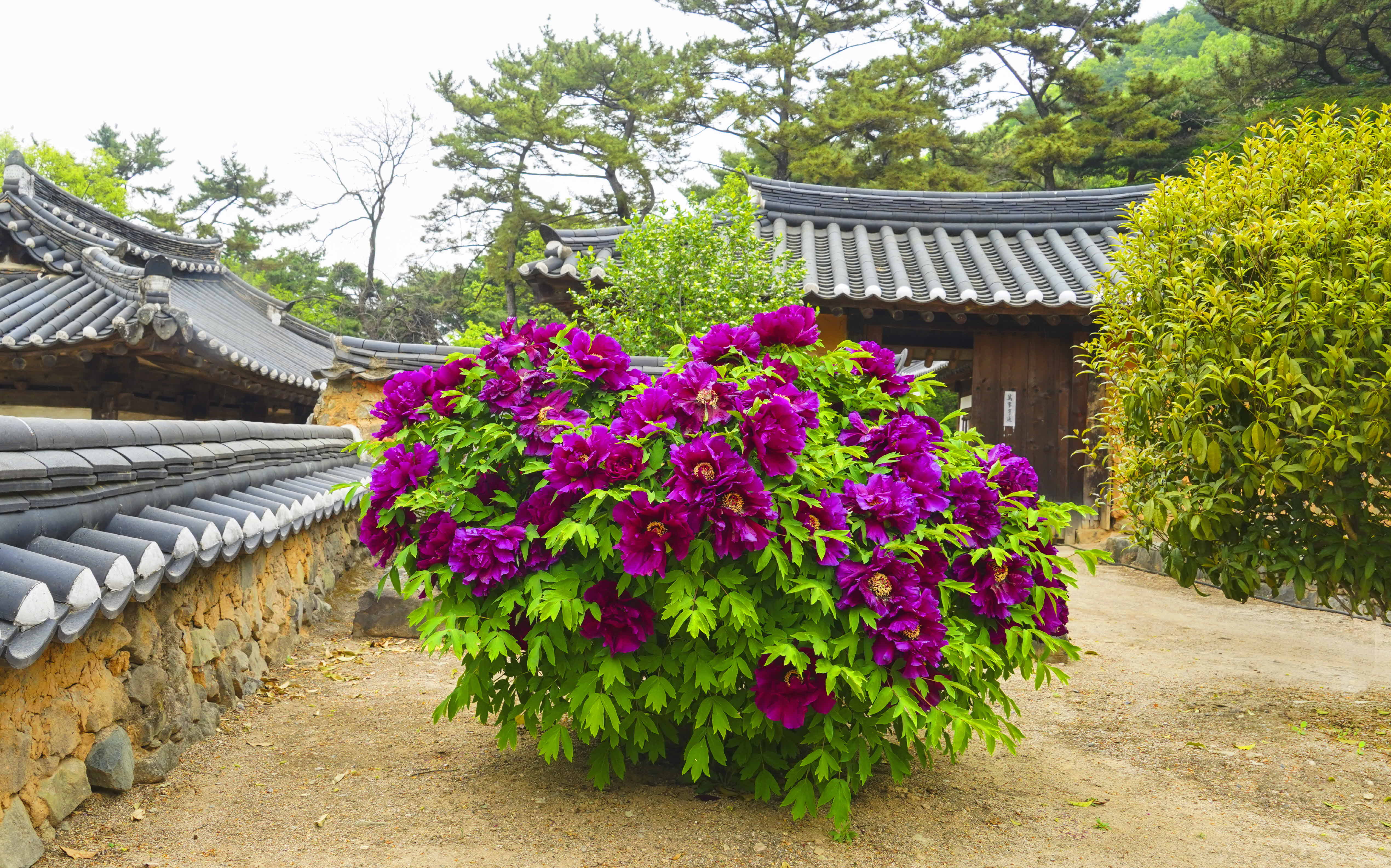 크기변환_DSC08830 사본.jpg