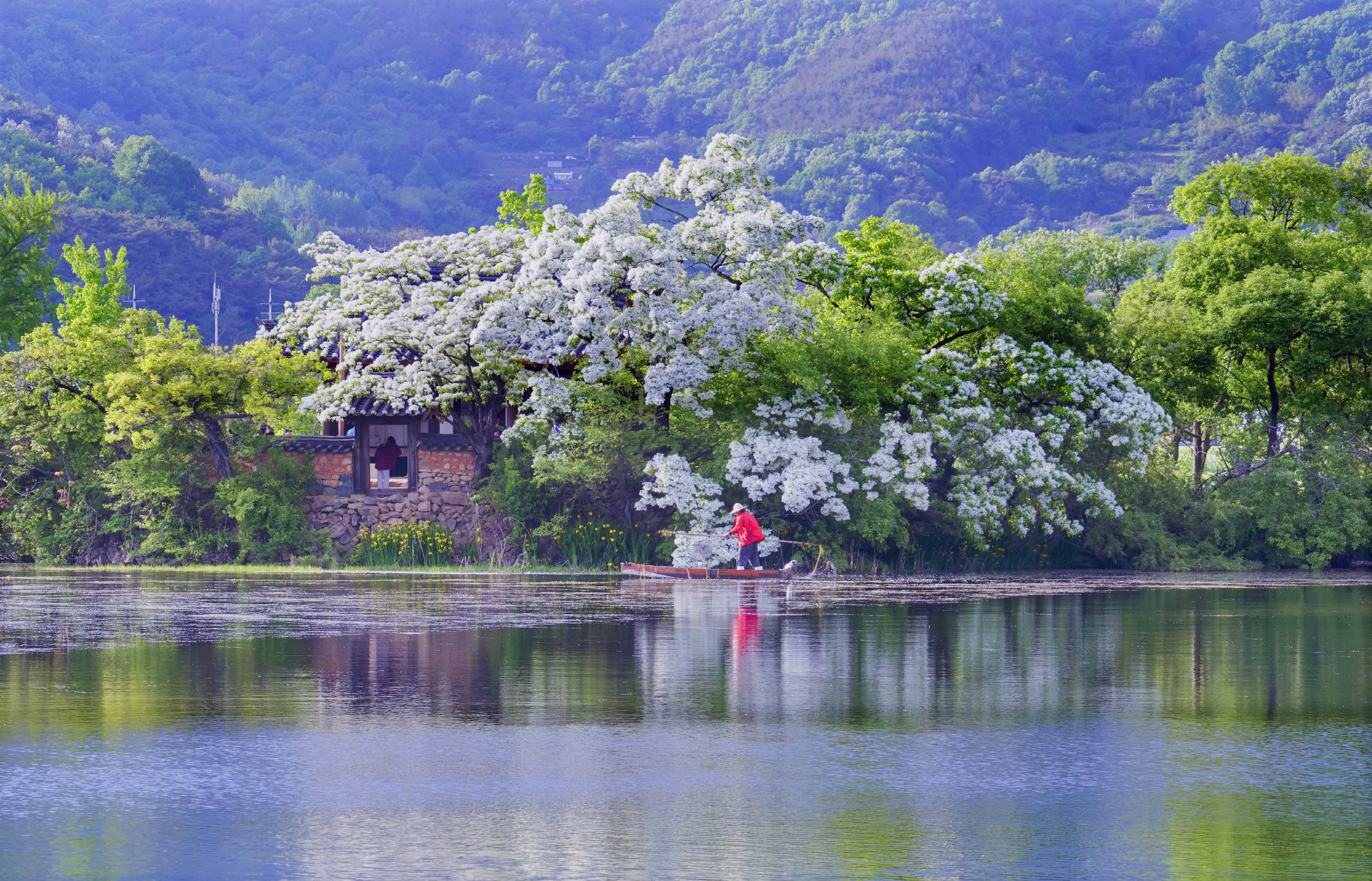 크기변환_DSC02779 사본.jpg