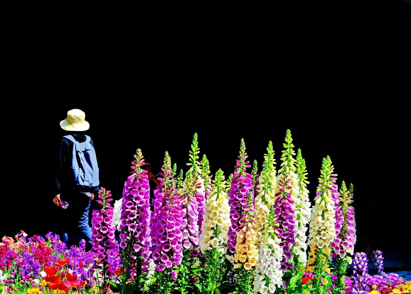 5월의 어느날2.jpg