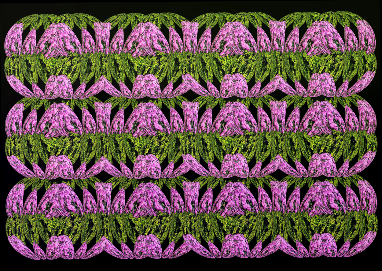 _12. 22.5.15. 출사.JPG