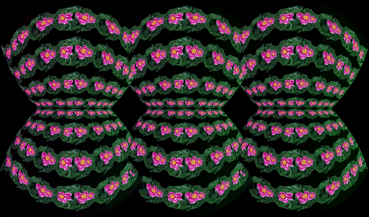 _01. 22.5.17 출사.JPG