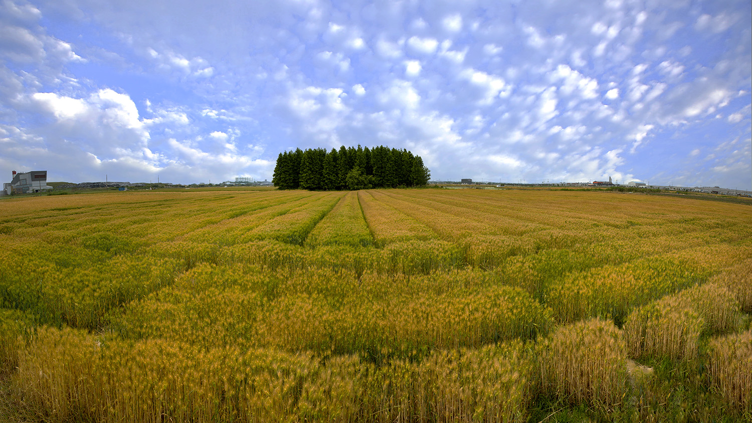 제목 없음_파노라마-5.jpg