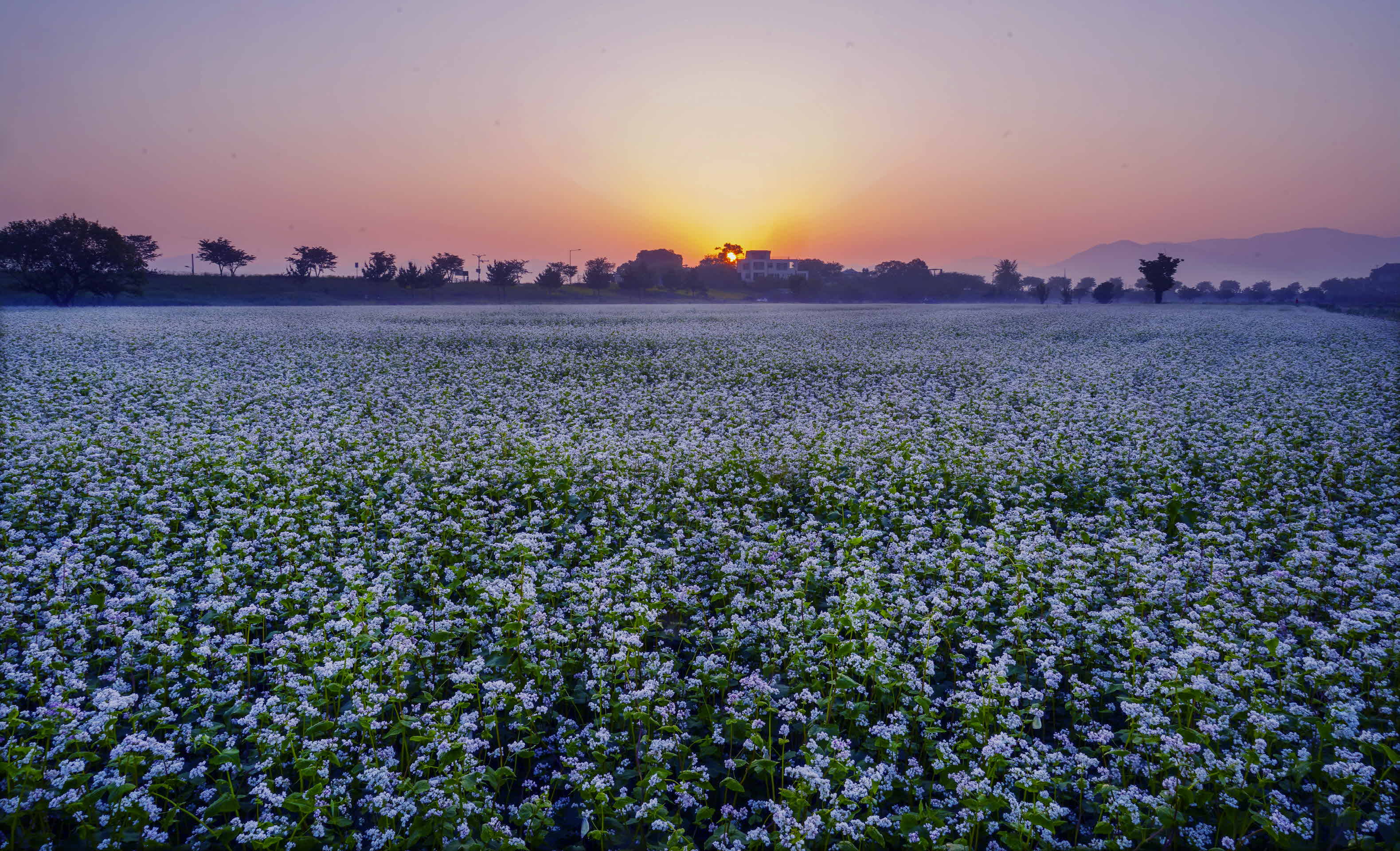 크기변환_DSC06026 사본.jpg