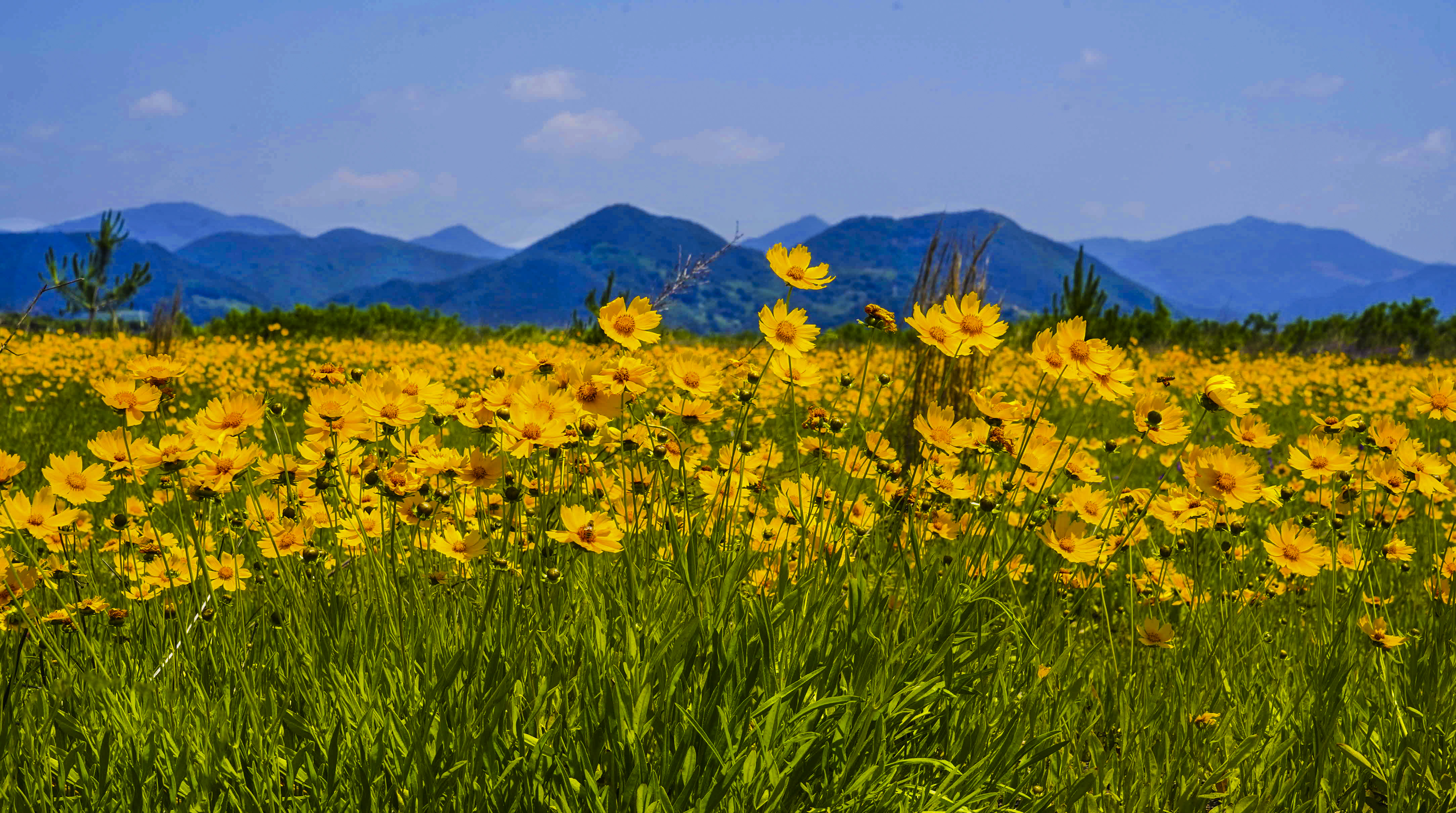 크기변환_DSC05870 사본.jpg