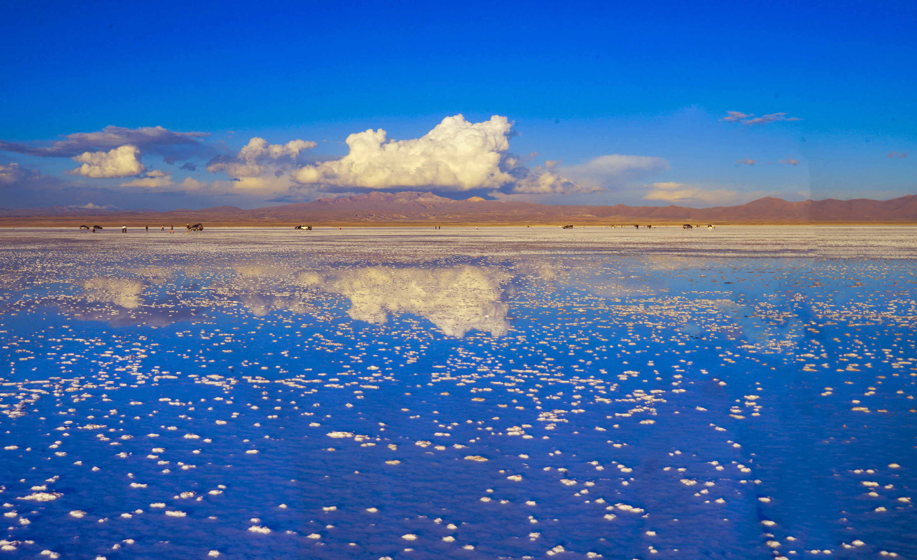 크기변환__DSC8701 사본.jpg