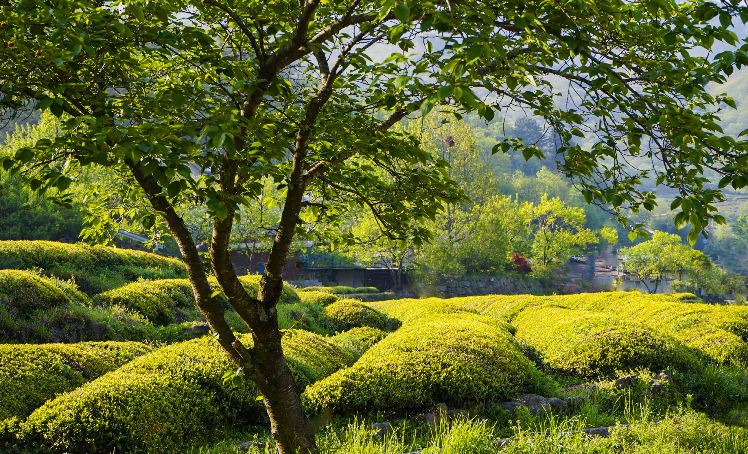 크기변환__DSC7523 사본.jpg