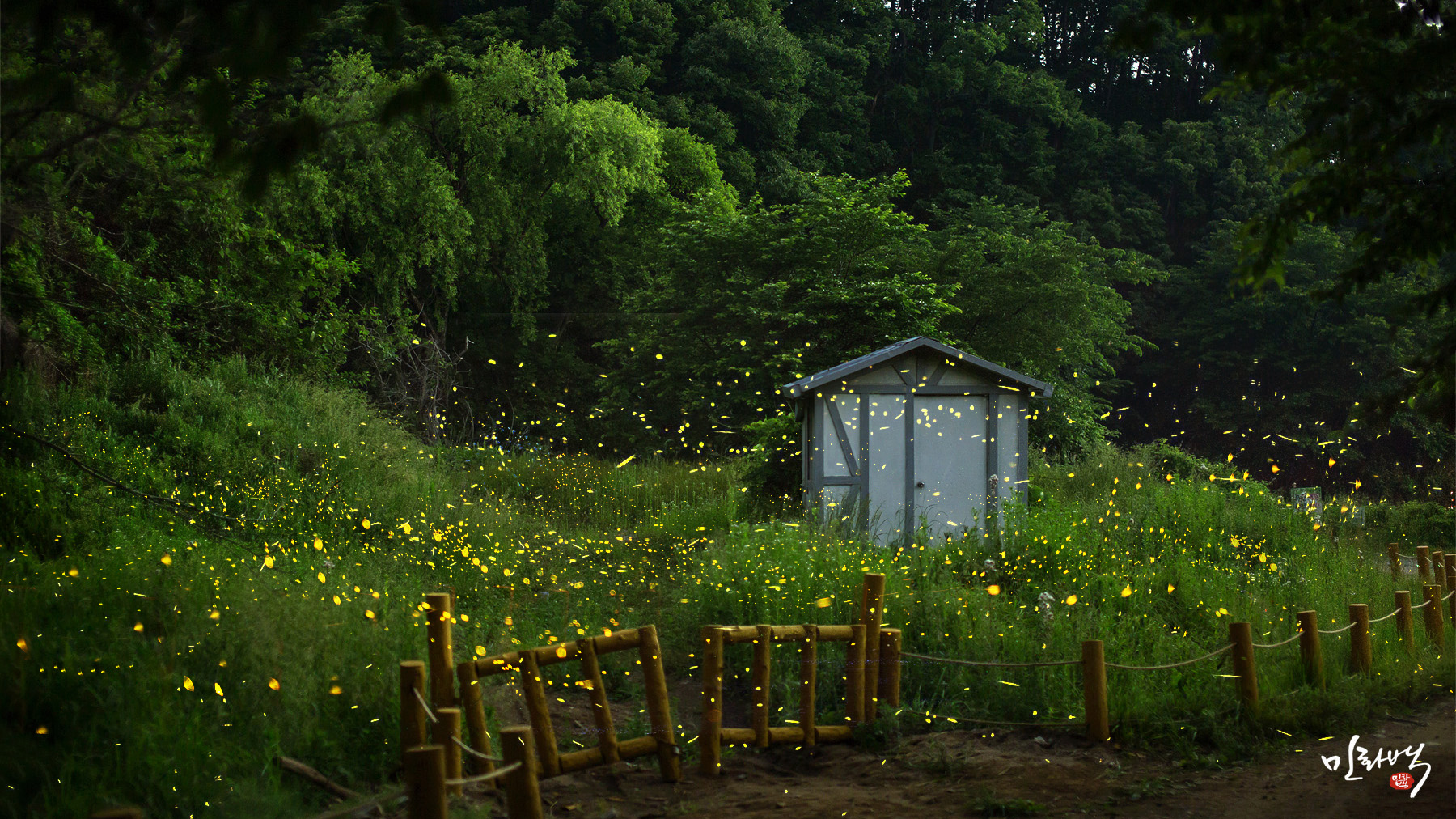 StarStaX_4D4A4304 복사-4D4A4316_lighten.jpg