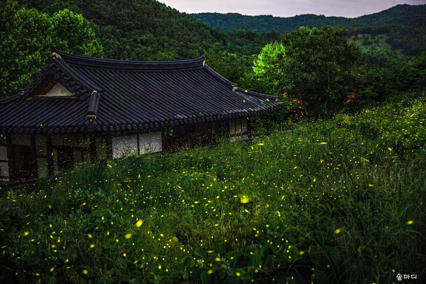 제목 없음-1-0.jpg