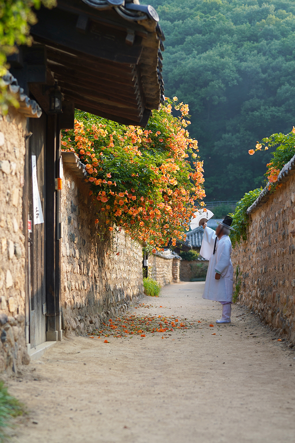 blnpmccsgg (37)a.jpg