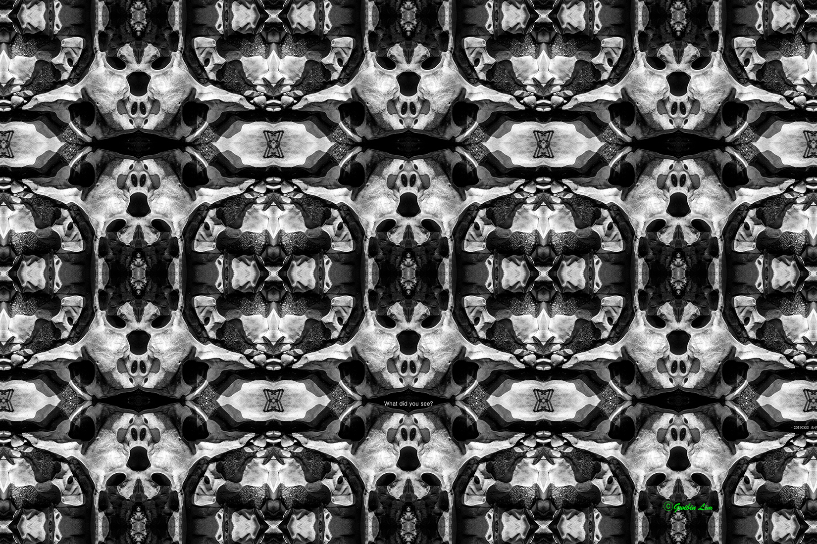 WHAT DID YOU SEE FIRST.jpg