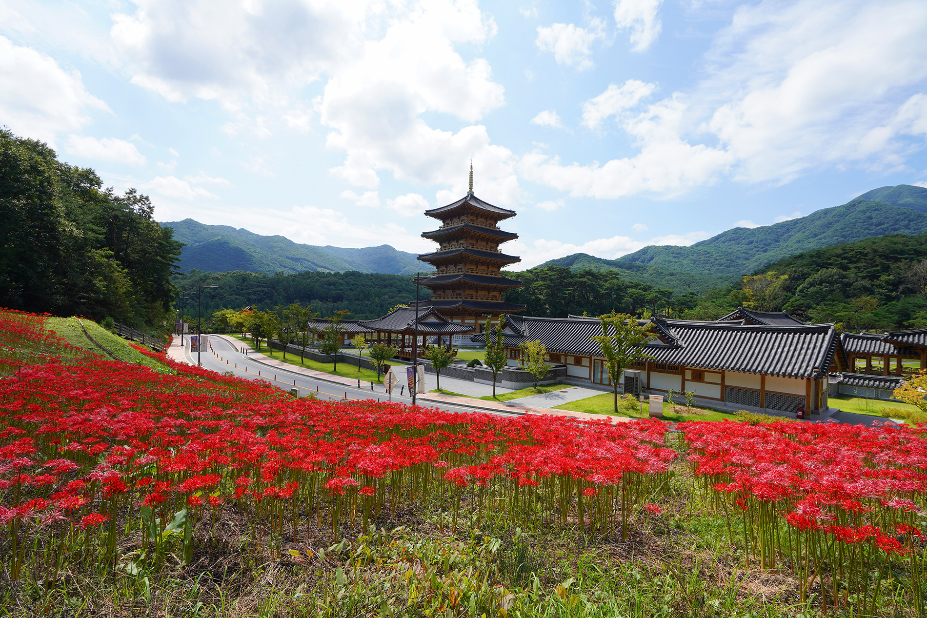 kcjgs tmdskw (6)a.jpg