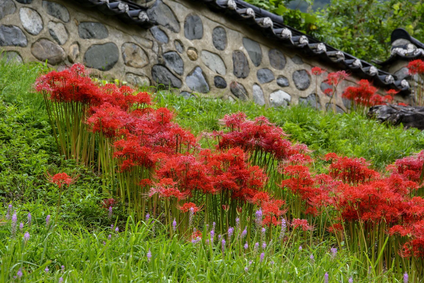 [크기변환]2200slzhs z7_299.JPG