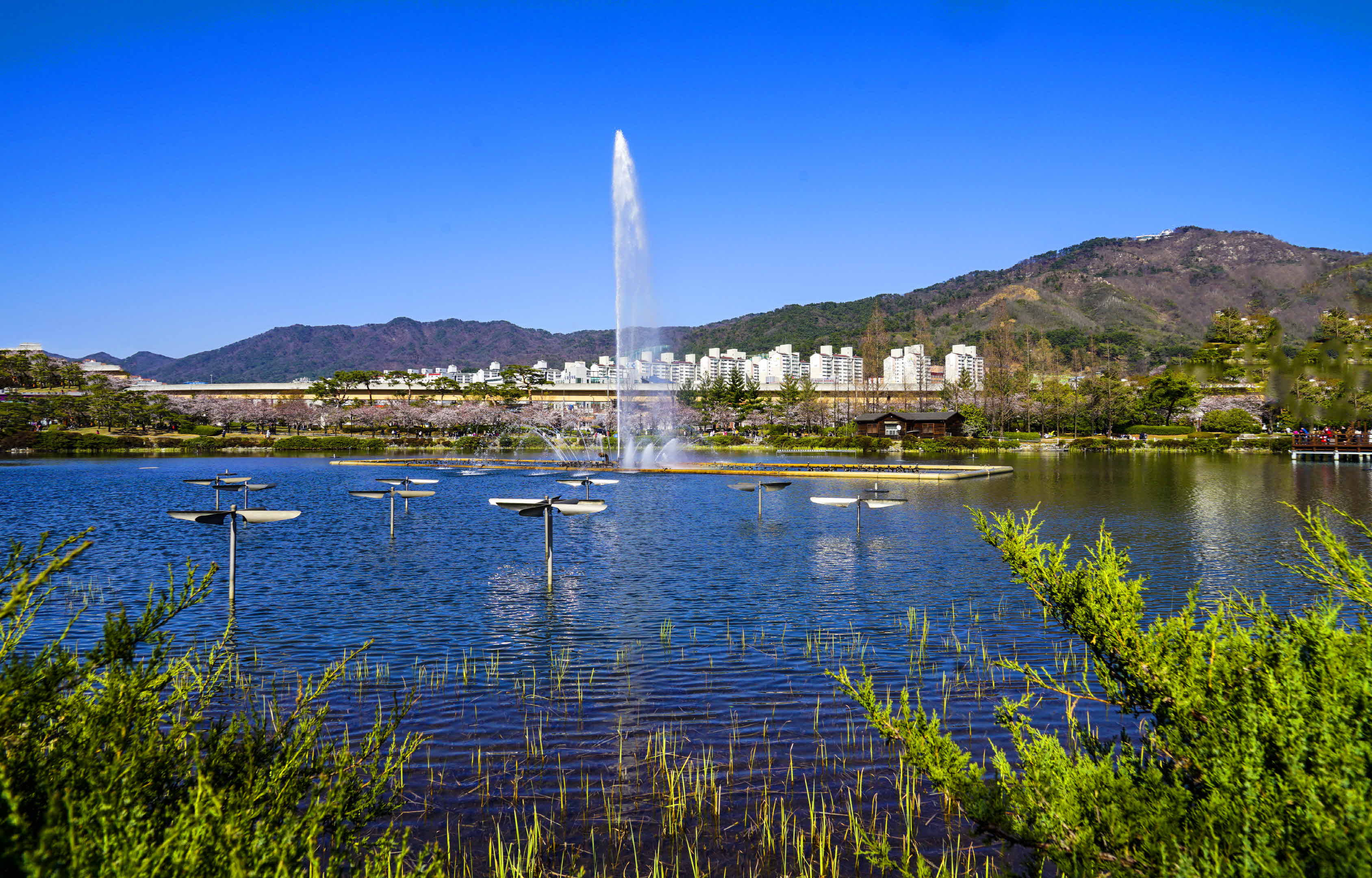 크기변환__DSC5827 사본.jpg