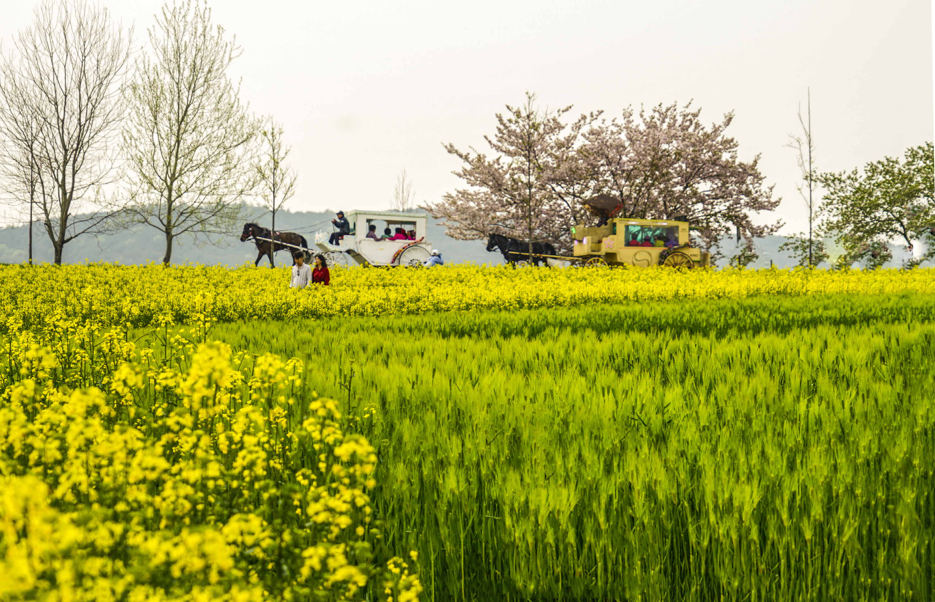 크기변환__DSC0964 사본.jpg