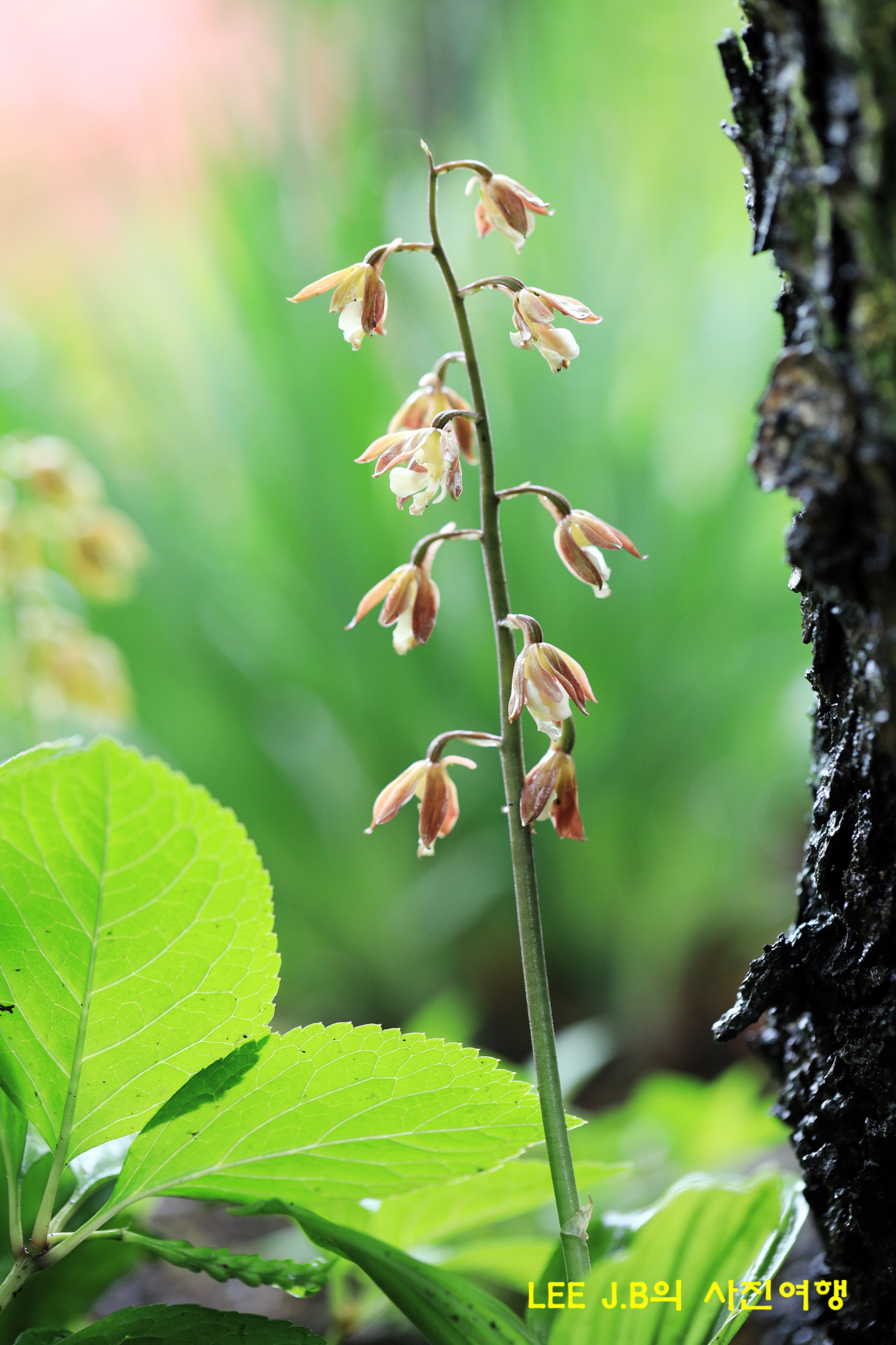 20220429-들꽃학습원 (22).JPG