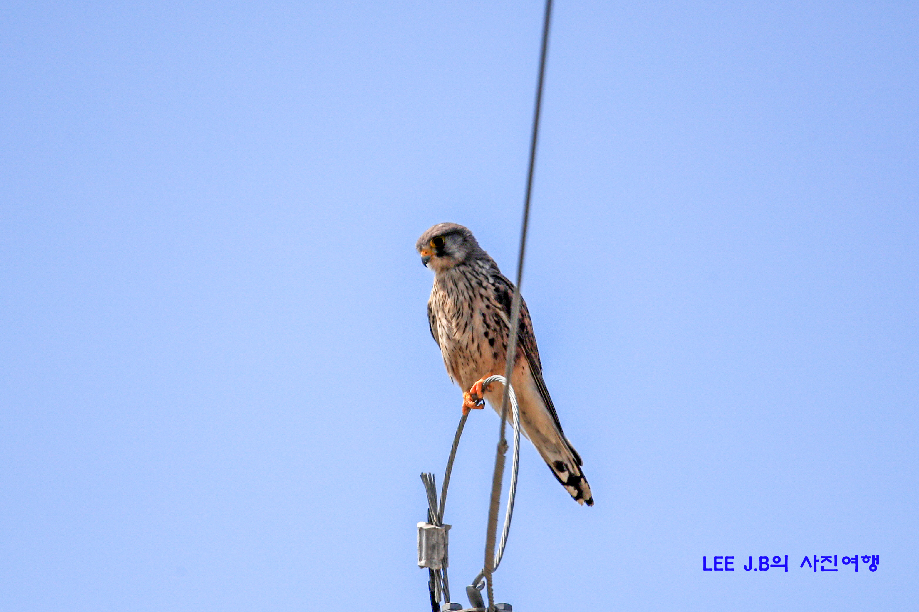 20220504-석산리 (3).JPG