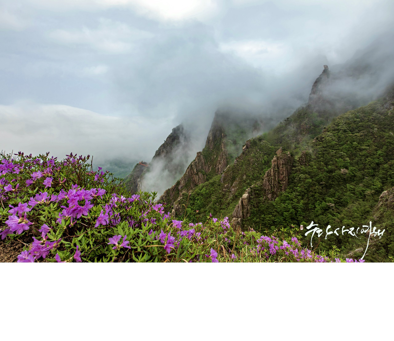 사본 -356A9655.jpg