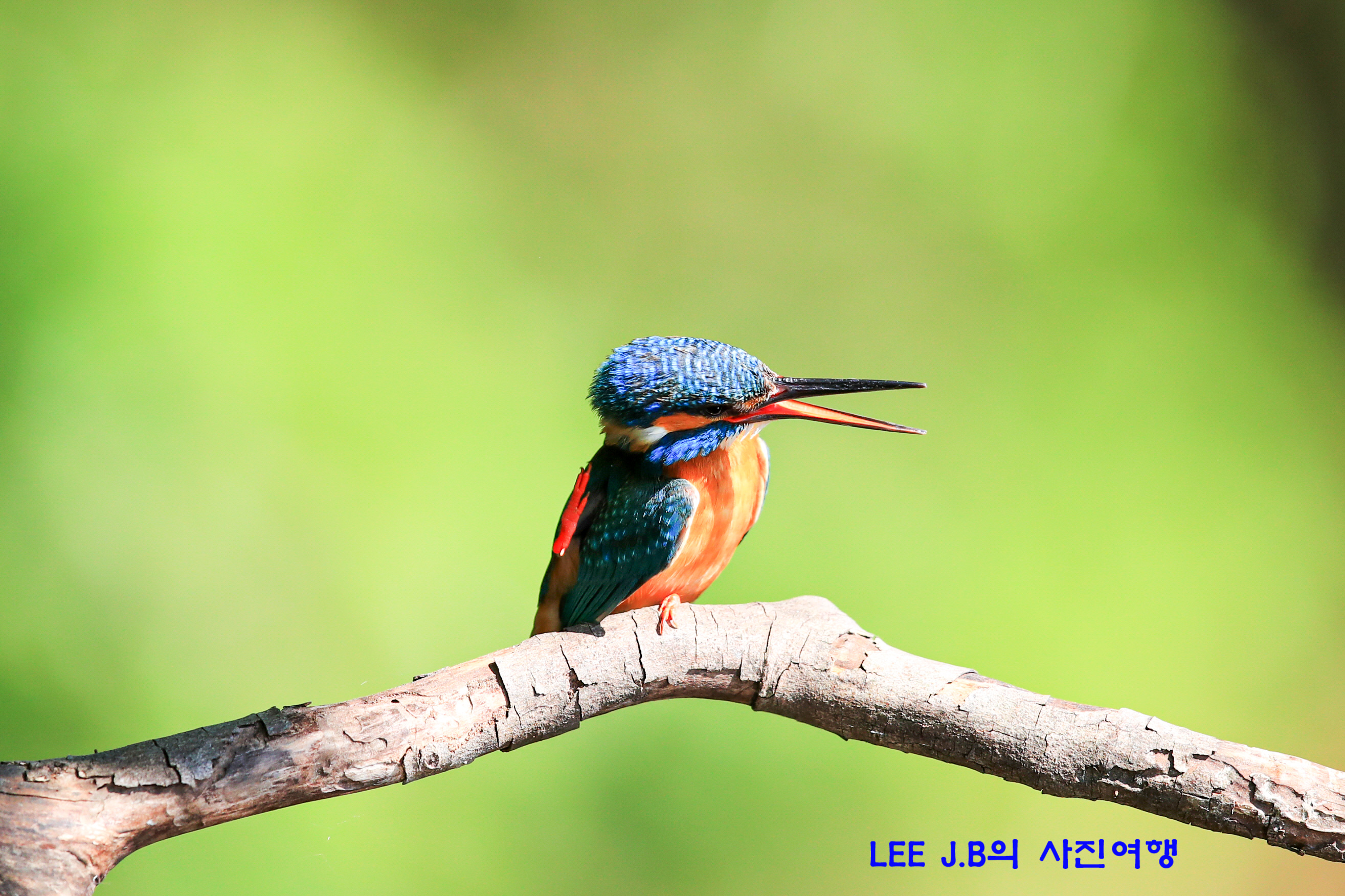 20220506-범서 (35).JPG