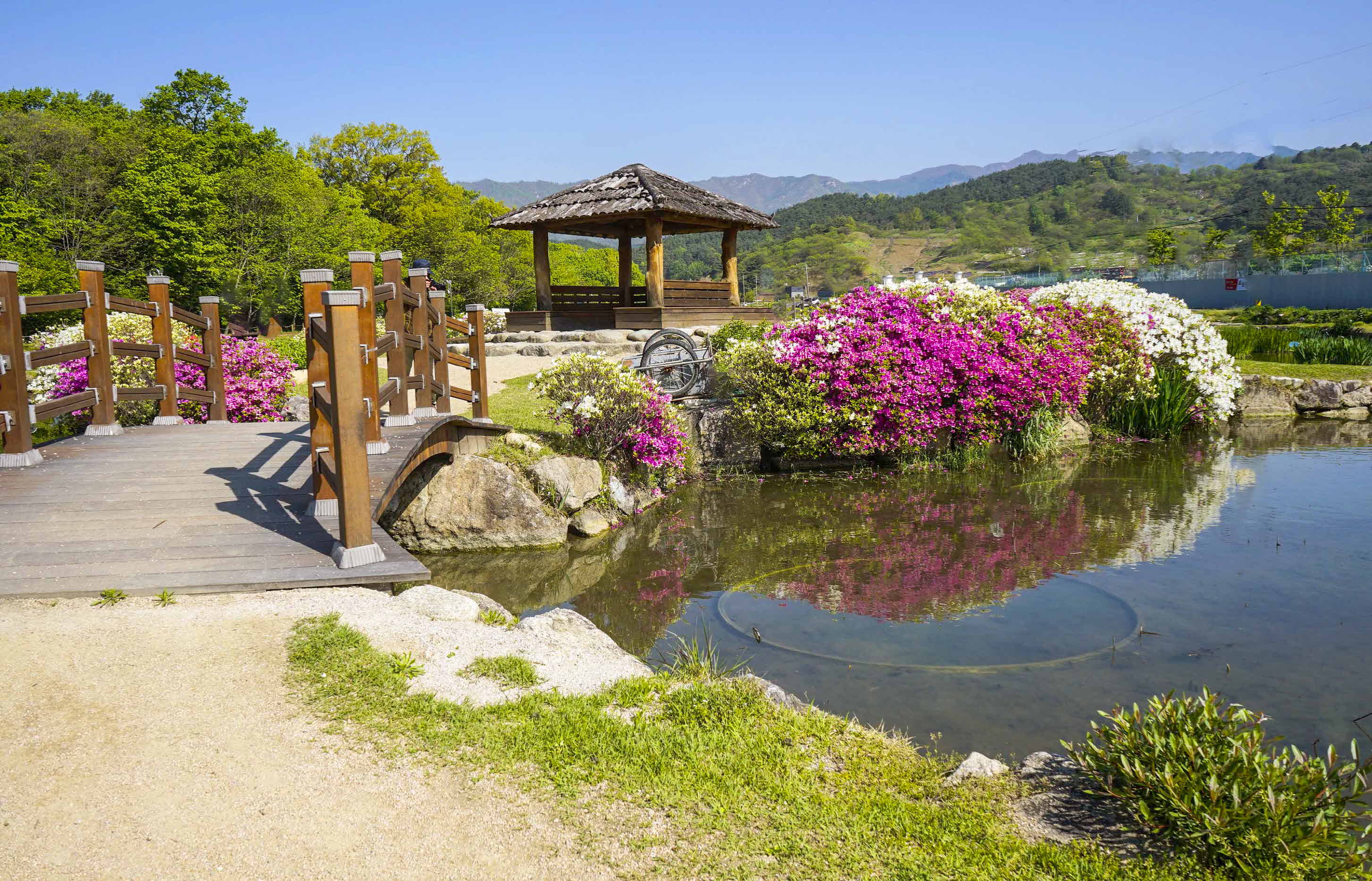 크기변환__DSC7283-보정 사본.jpg