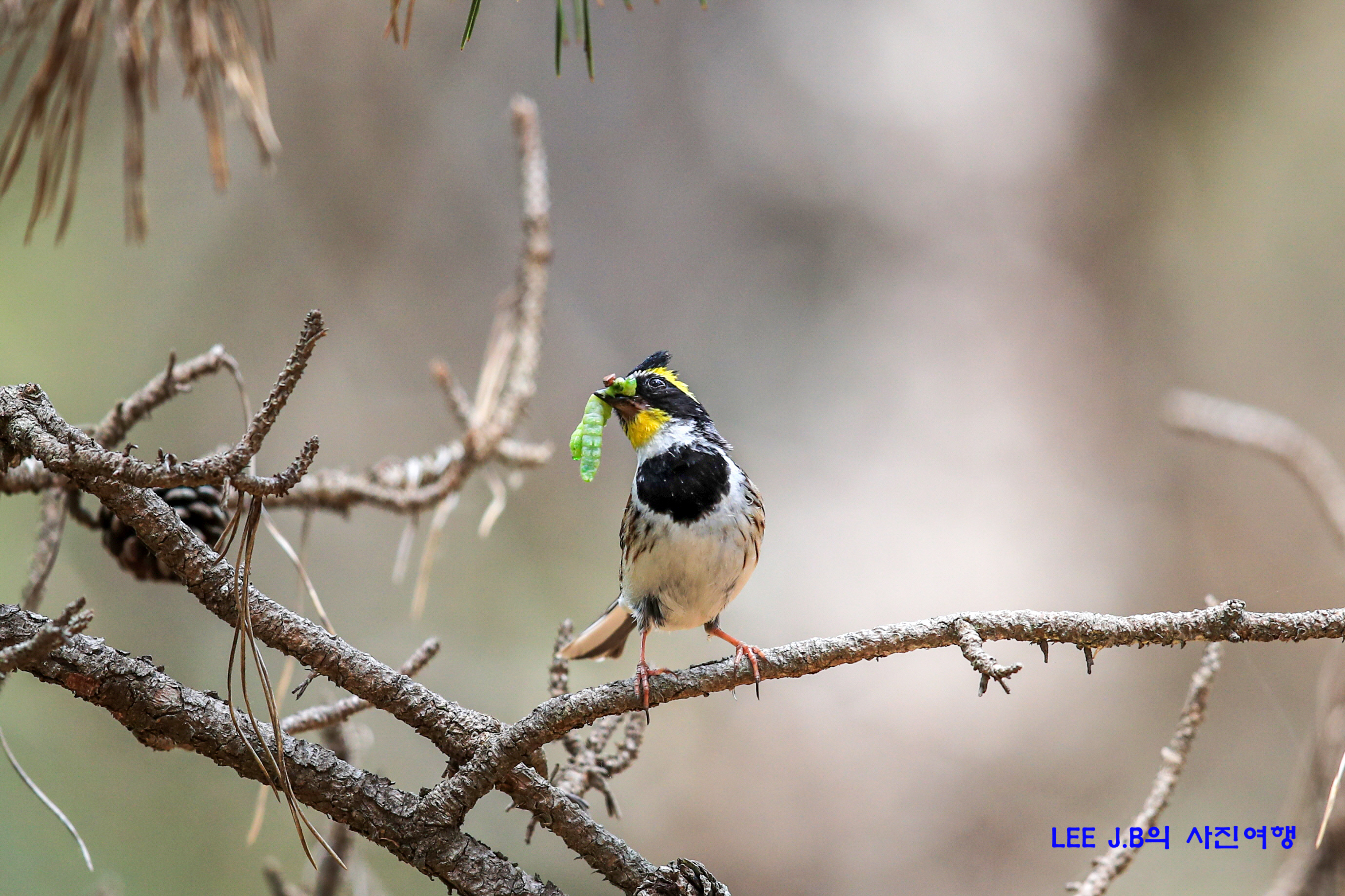 20220511-창선 (48).JPG