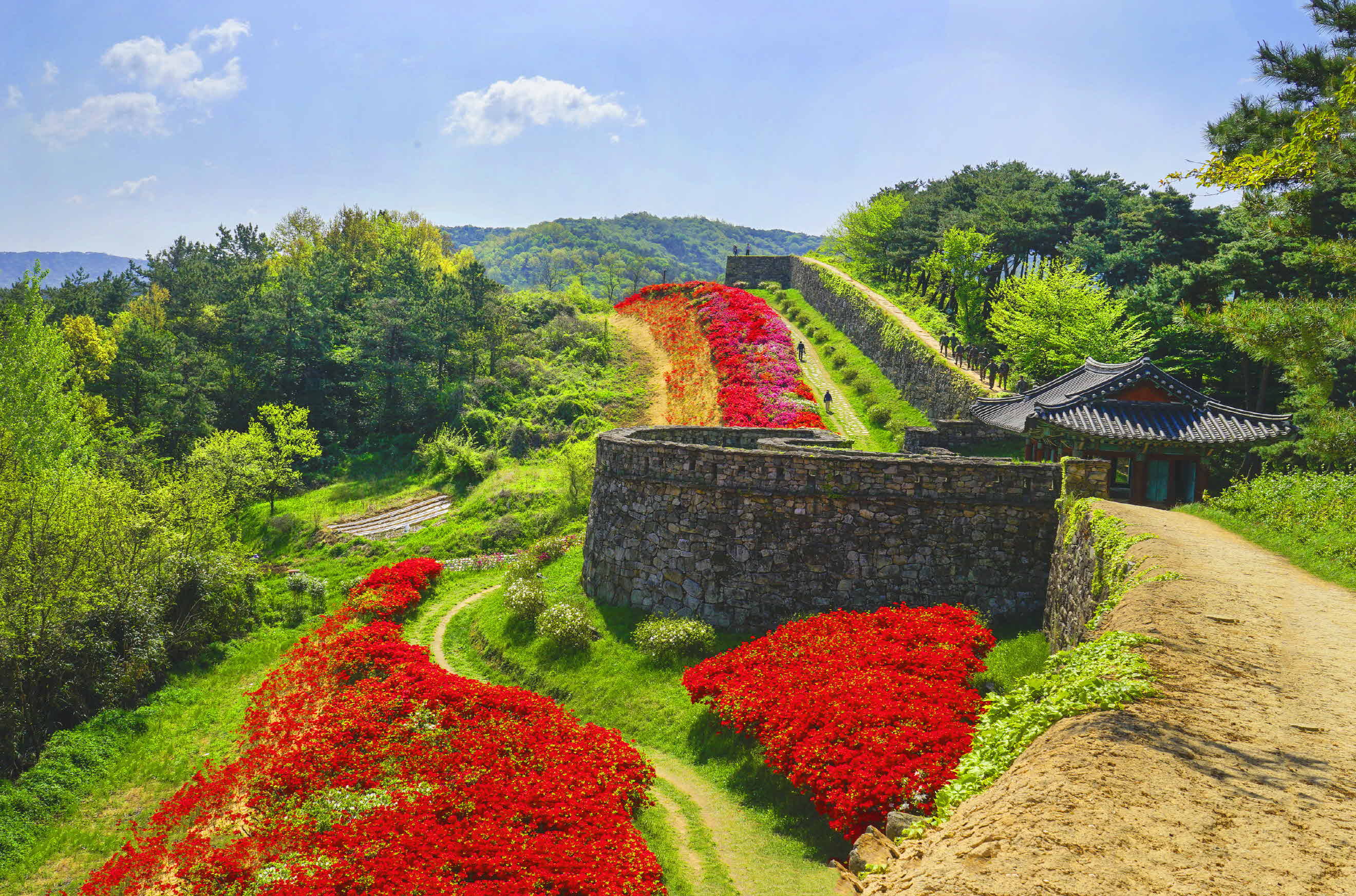 크기변환__DSC7108 사본.jpg