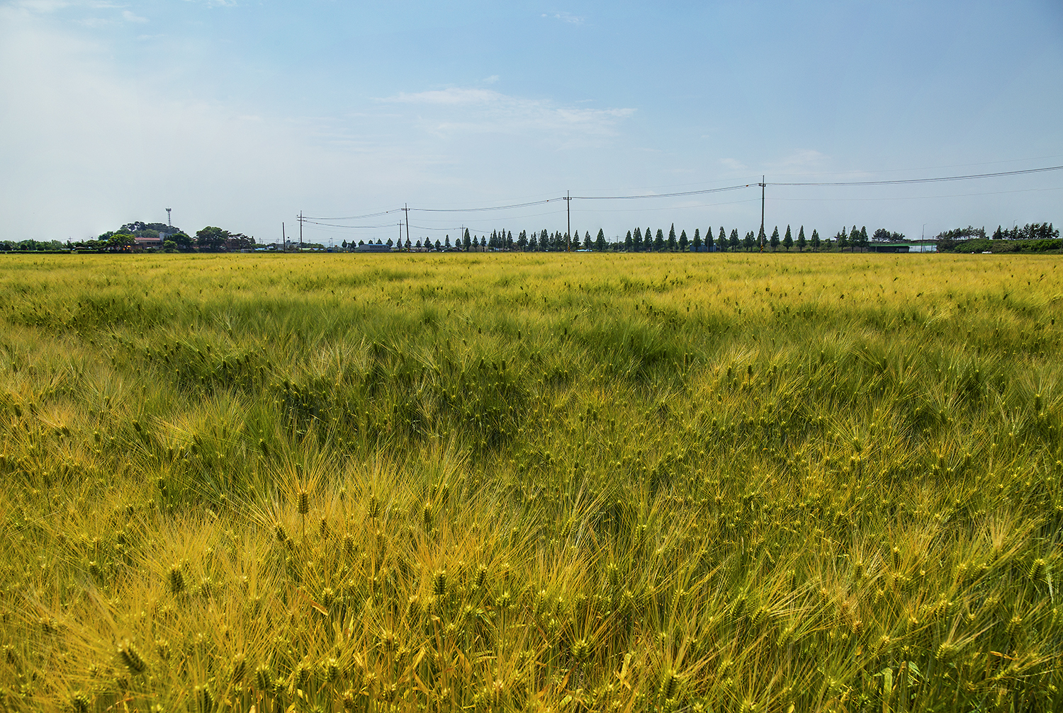 제목 없음-1-8.jpg