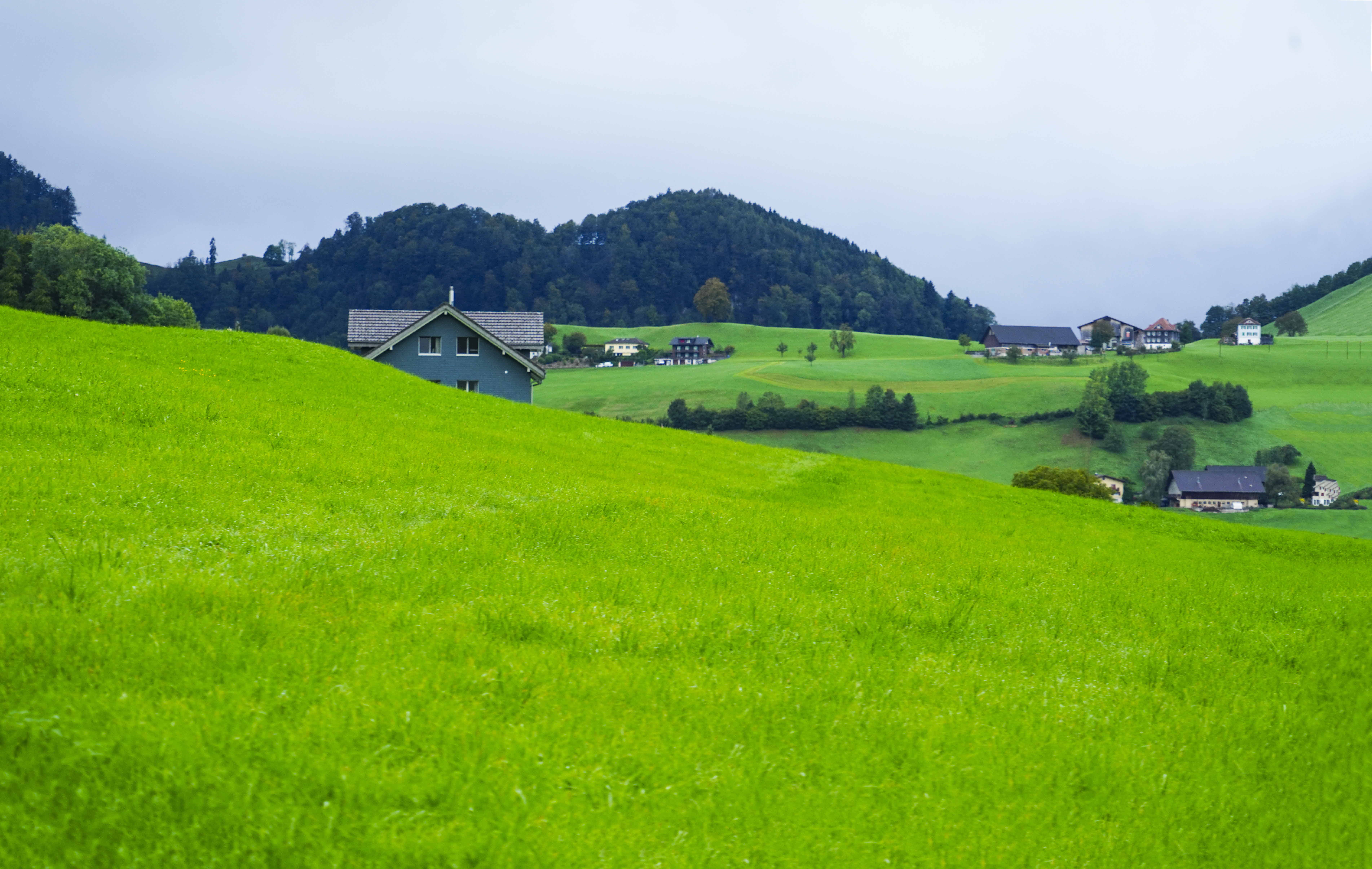 크기변환_DSC07188 사본.jpg