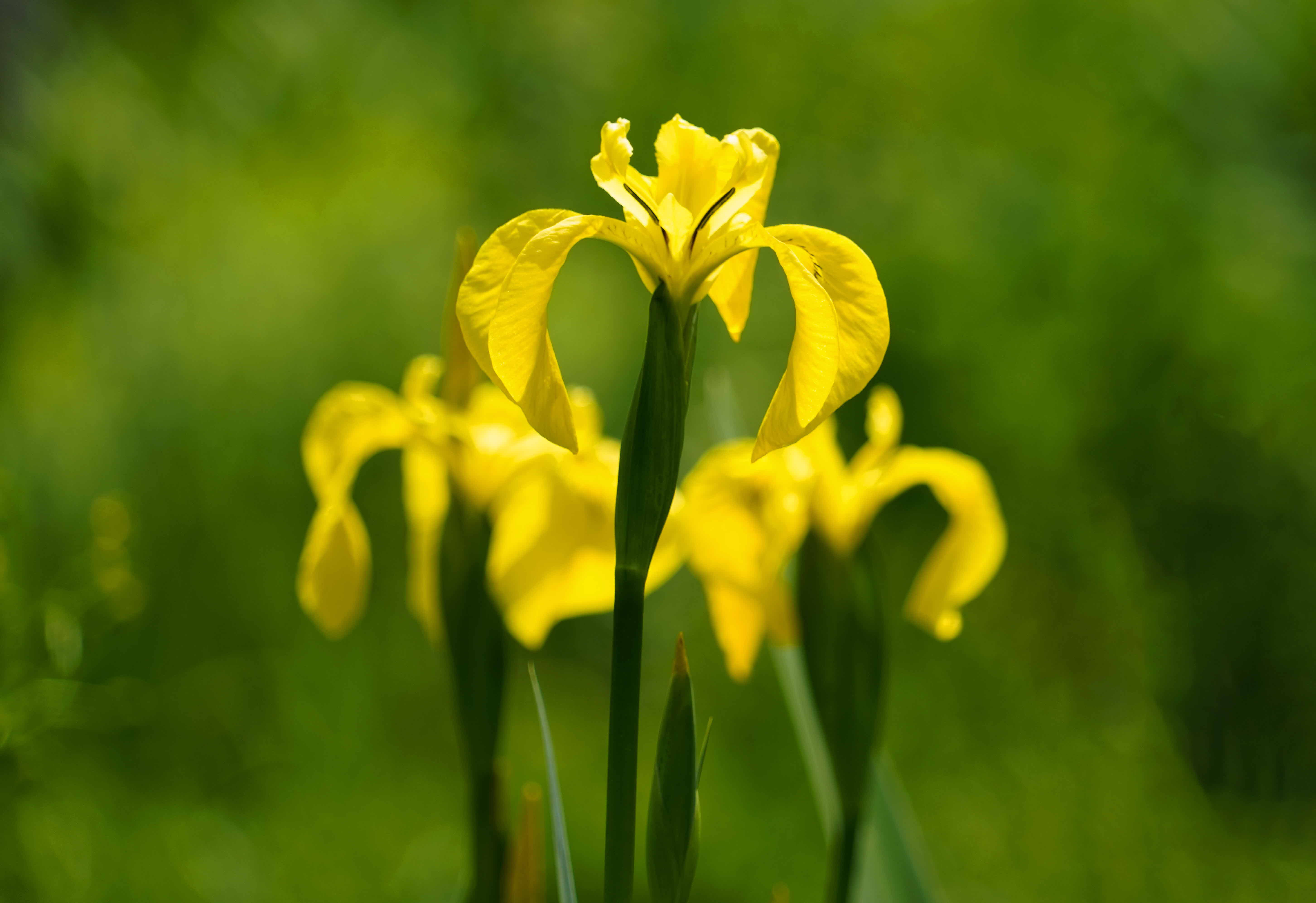 크기변환__DSC3024z 사본.jpg