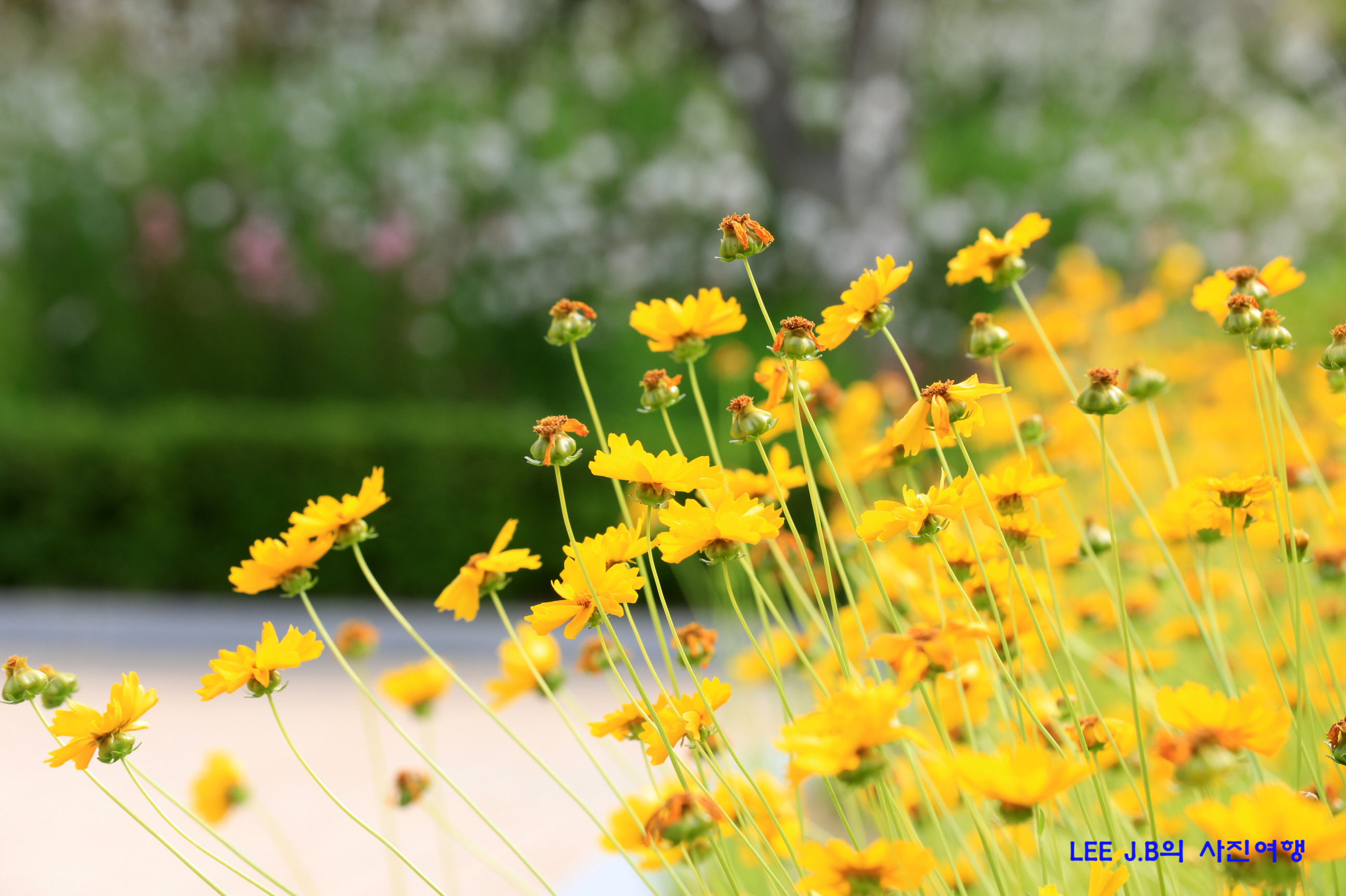 20220526-울산대공원 (5).JPG