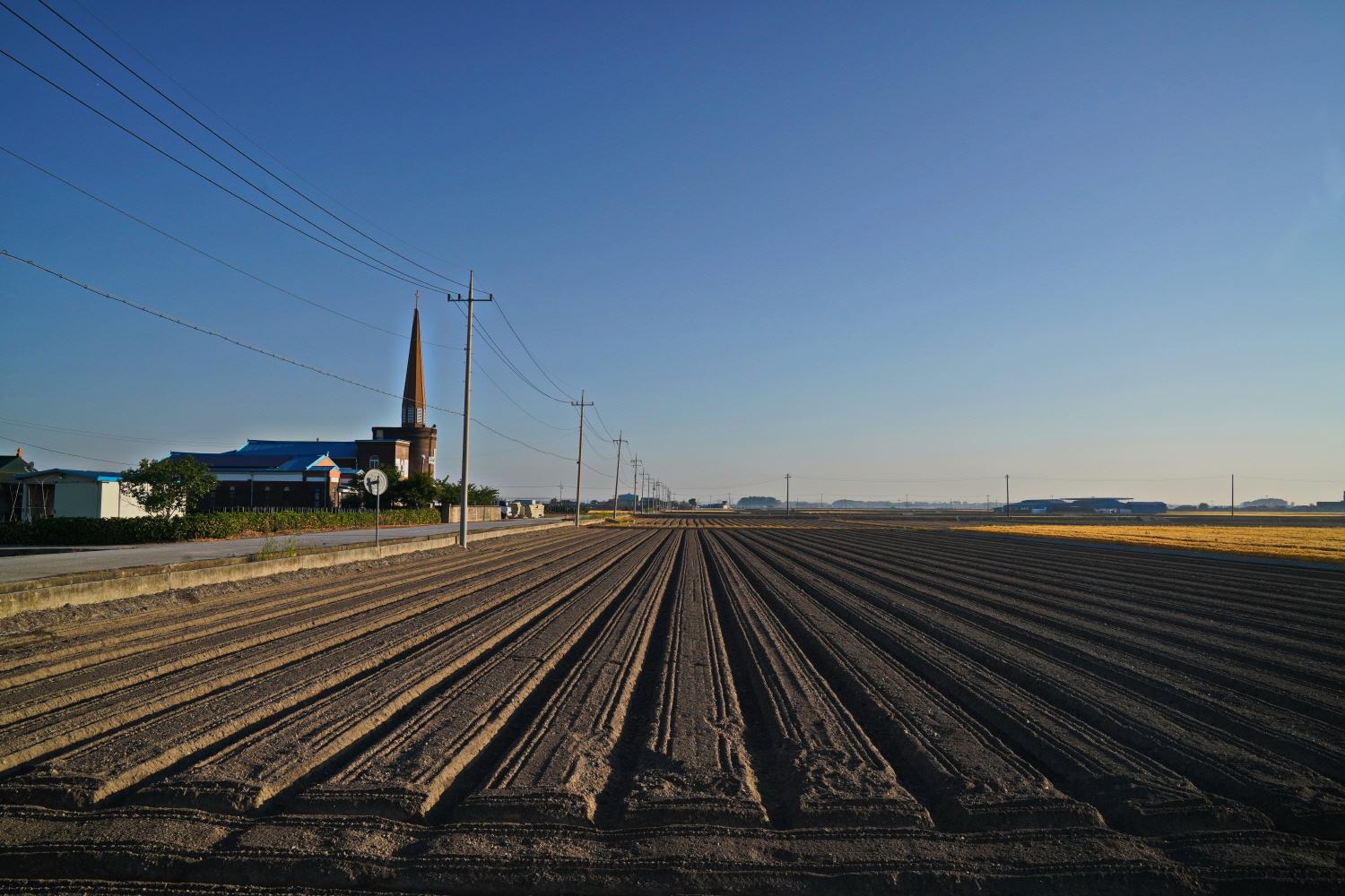 들녁의 아침.jpg