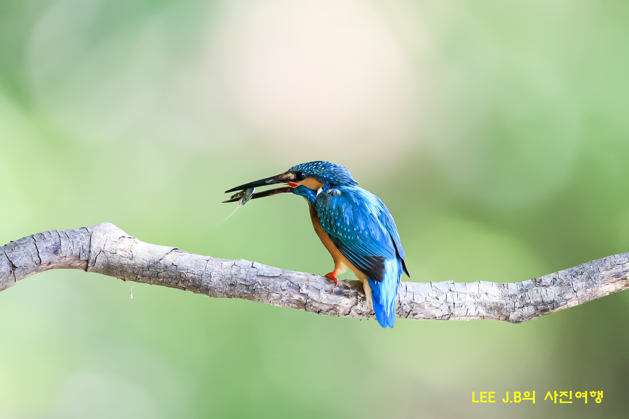 20220529-범서 (5).JPG