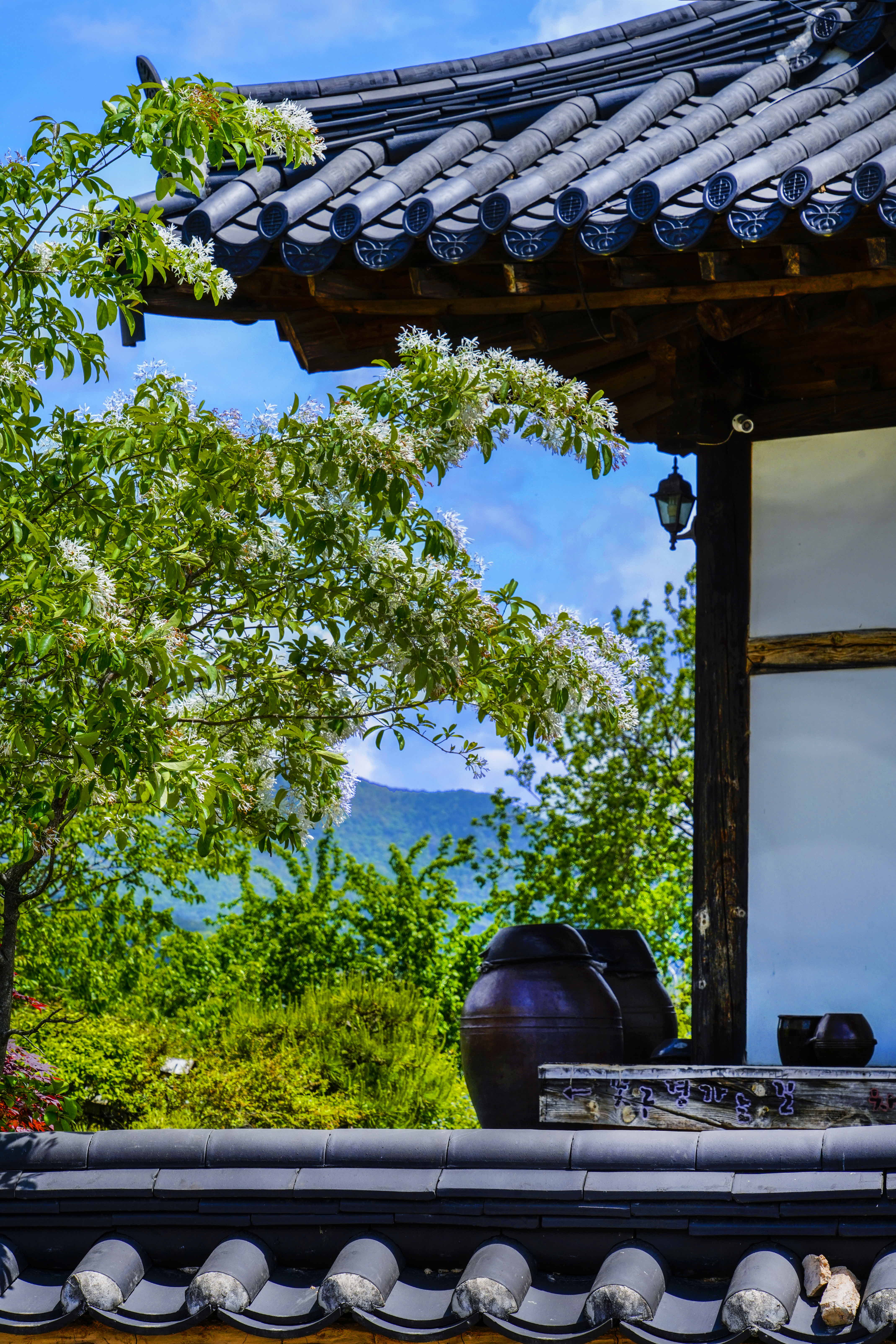 크기변환__DSC3018z 사본.jpg