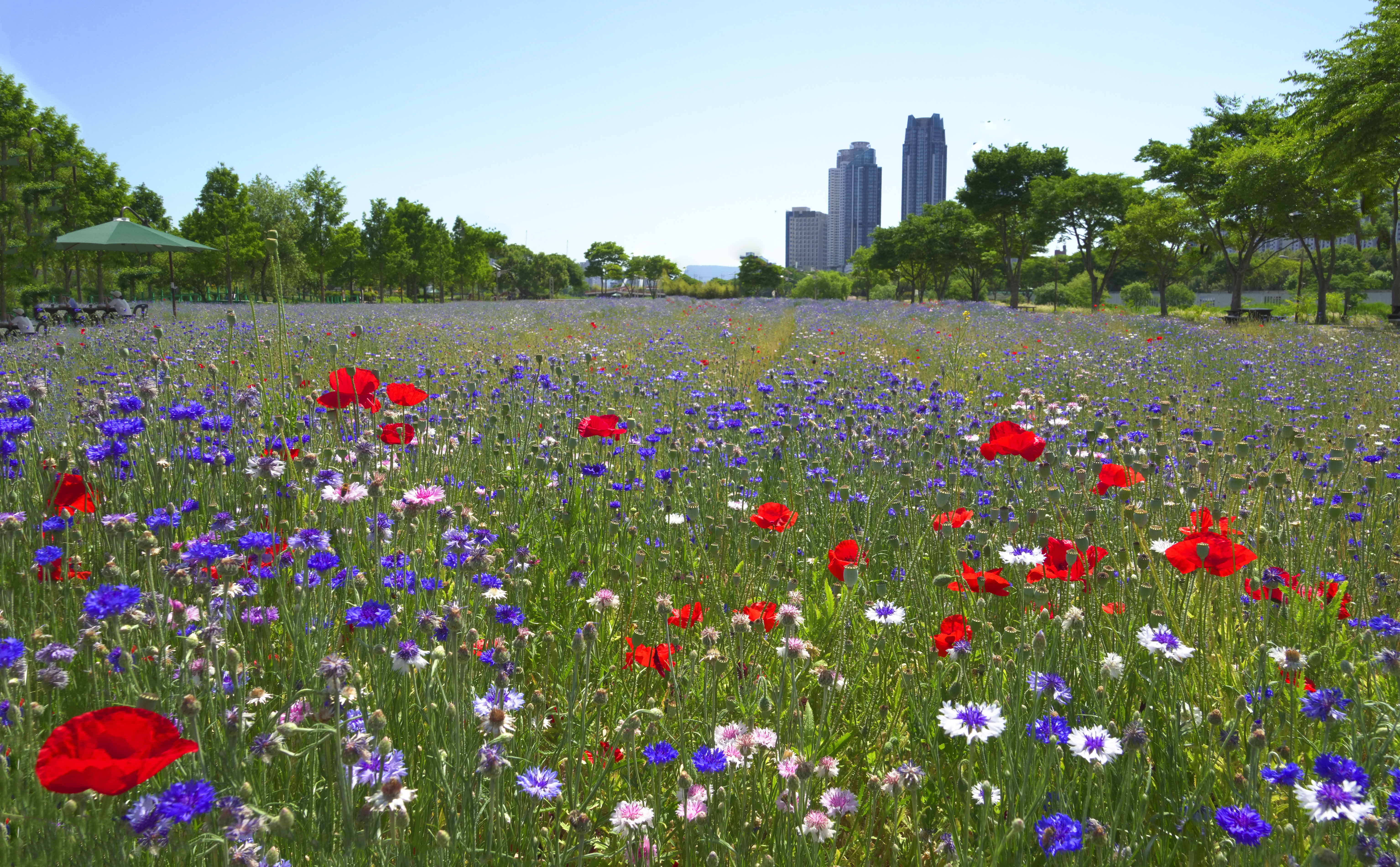 크기변환_DSC04470 사본.jpg