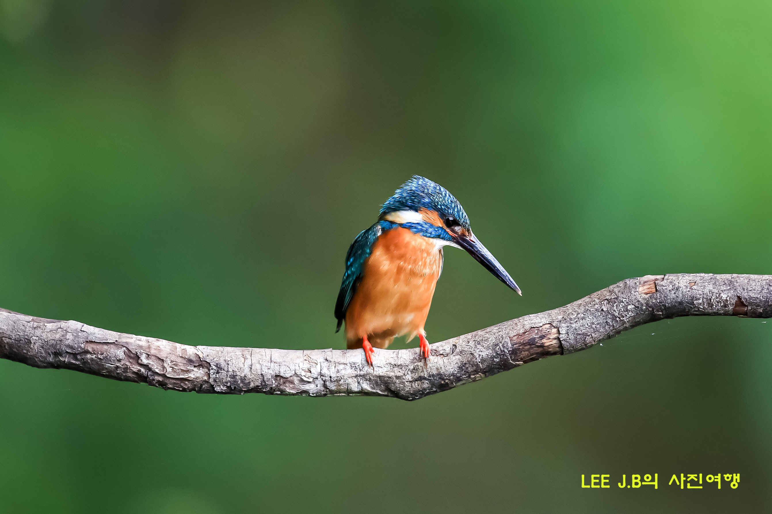 20220607-범서 (1).JPG