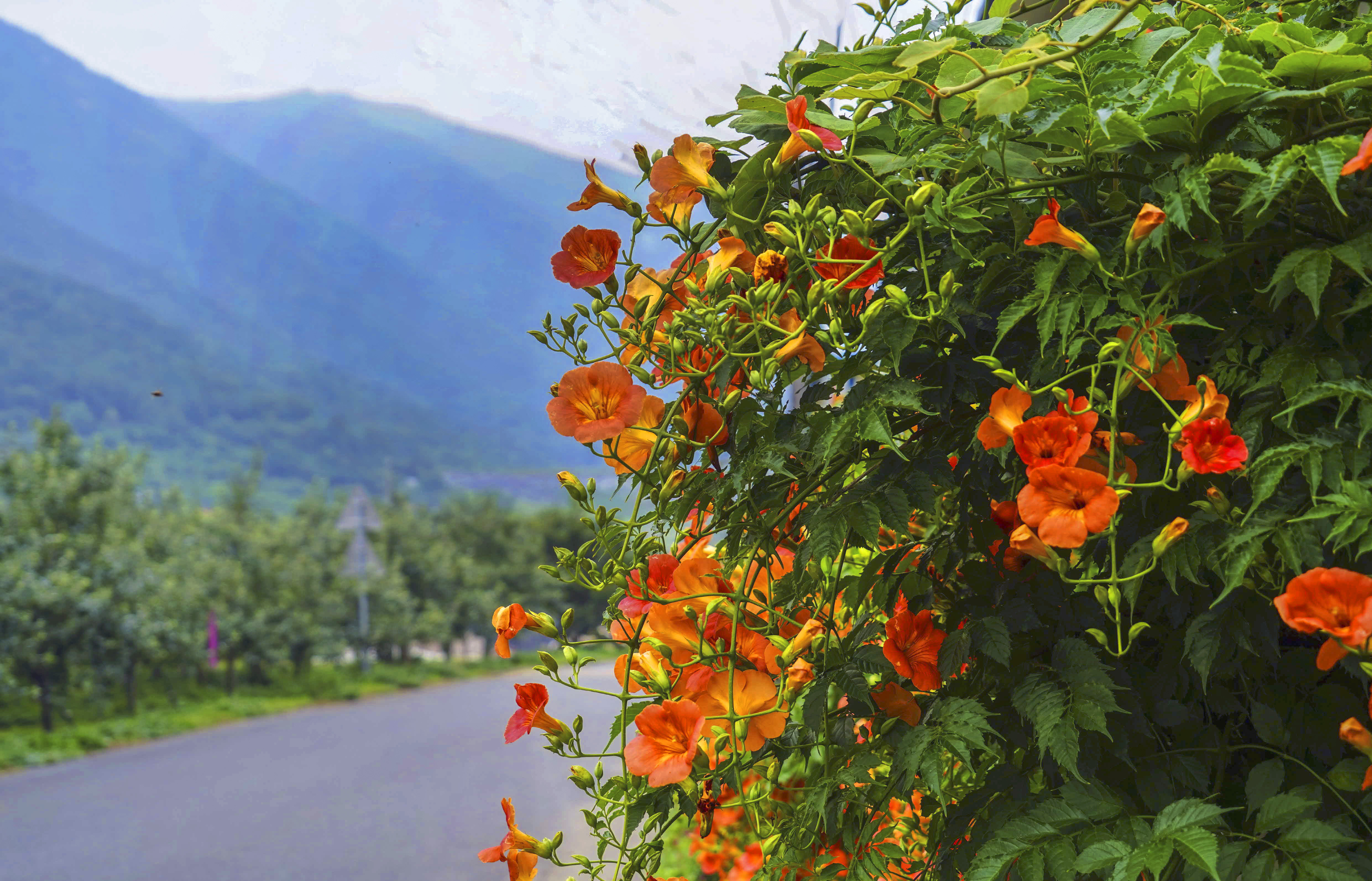 크기변환_DSC07110 사본.jpg