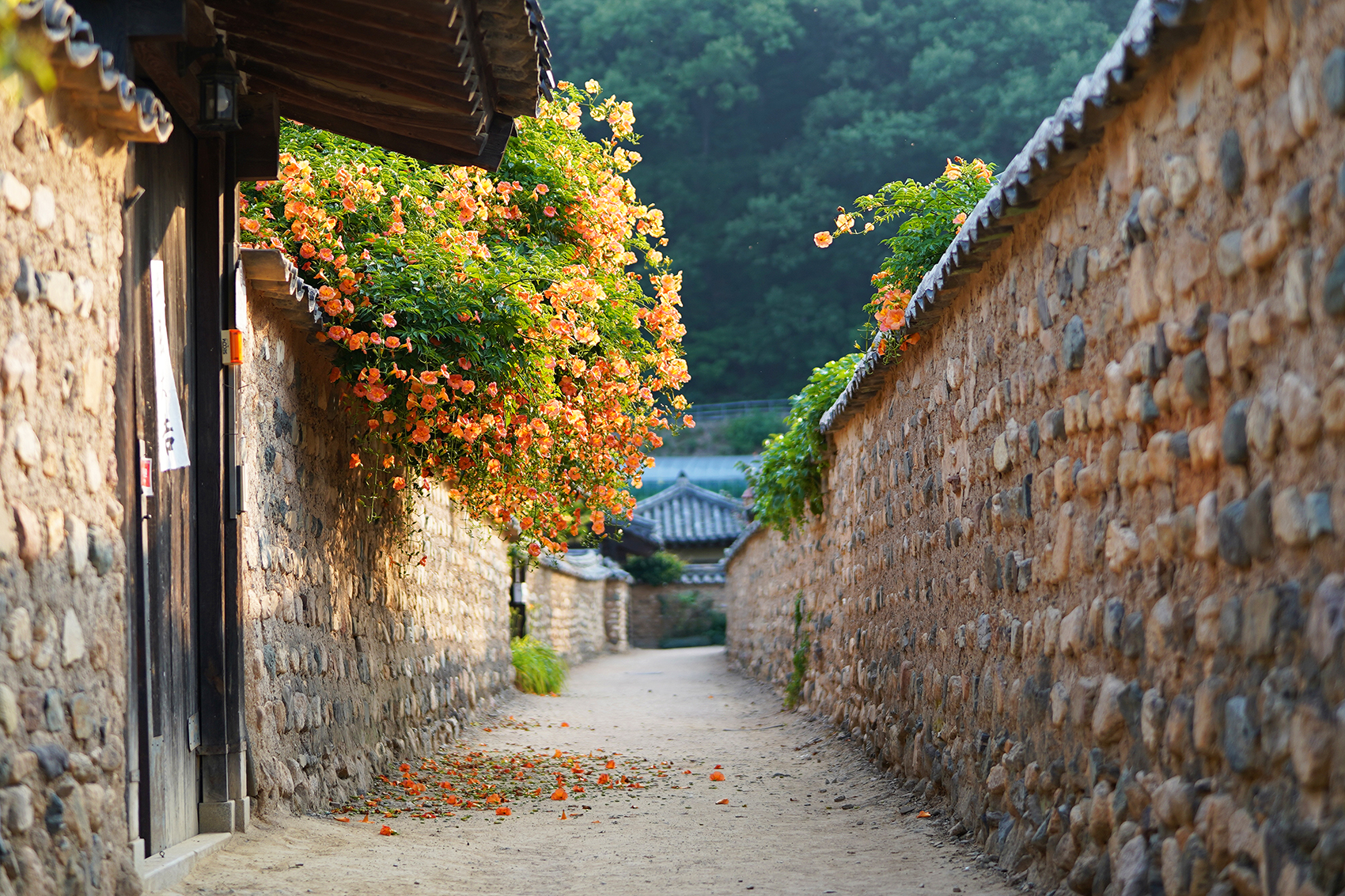 blnpmccsgg (19)a.jpg