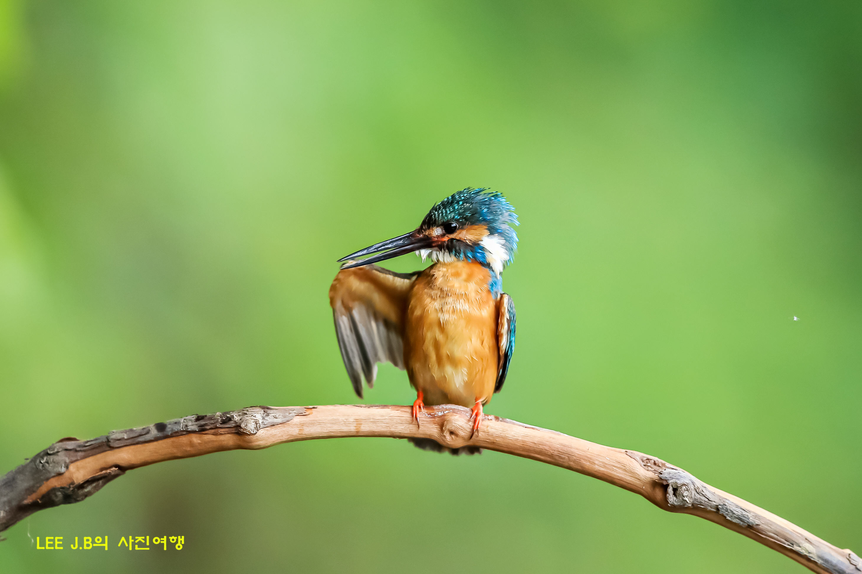 20220620-범서 (7).JPG