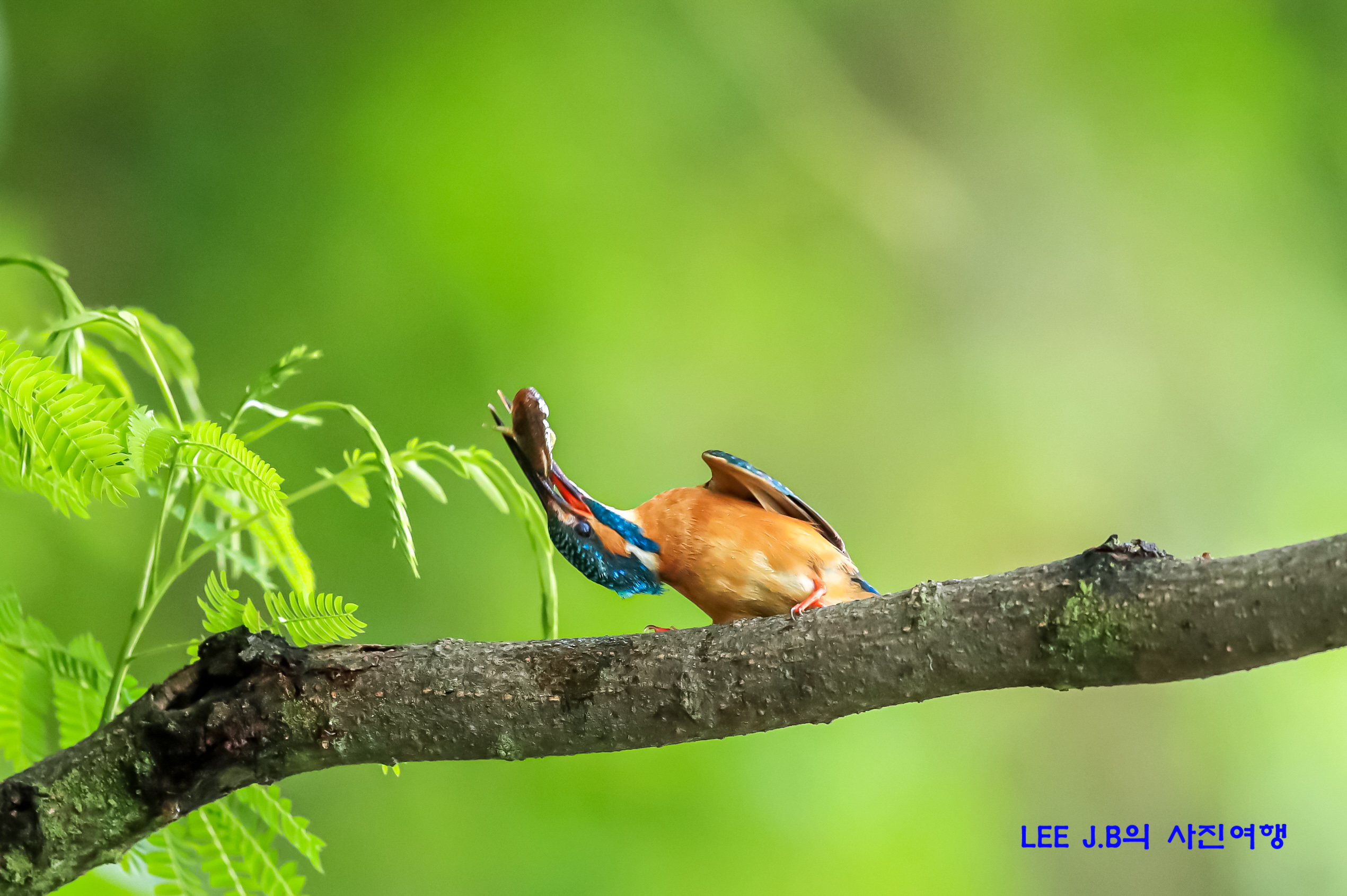 20220615-범서 (20).JPG