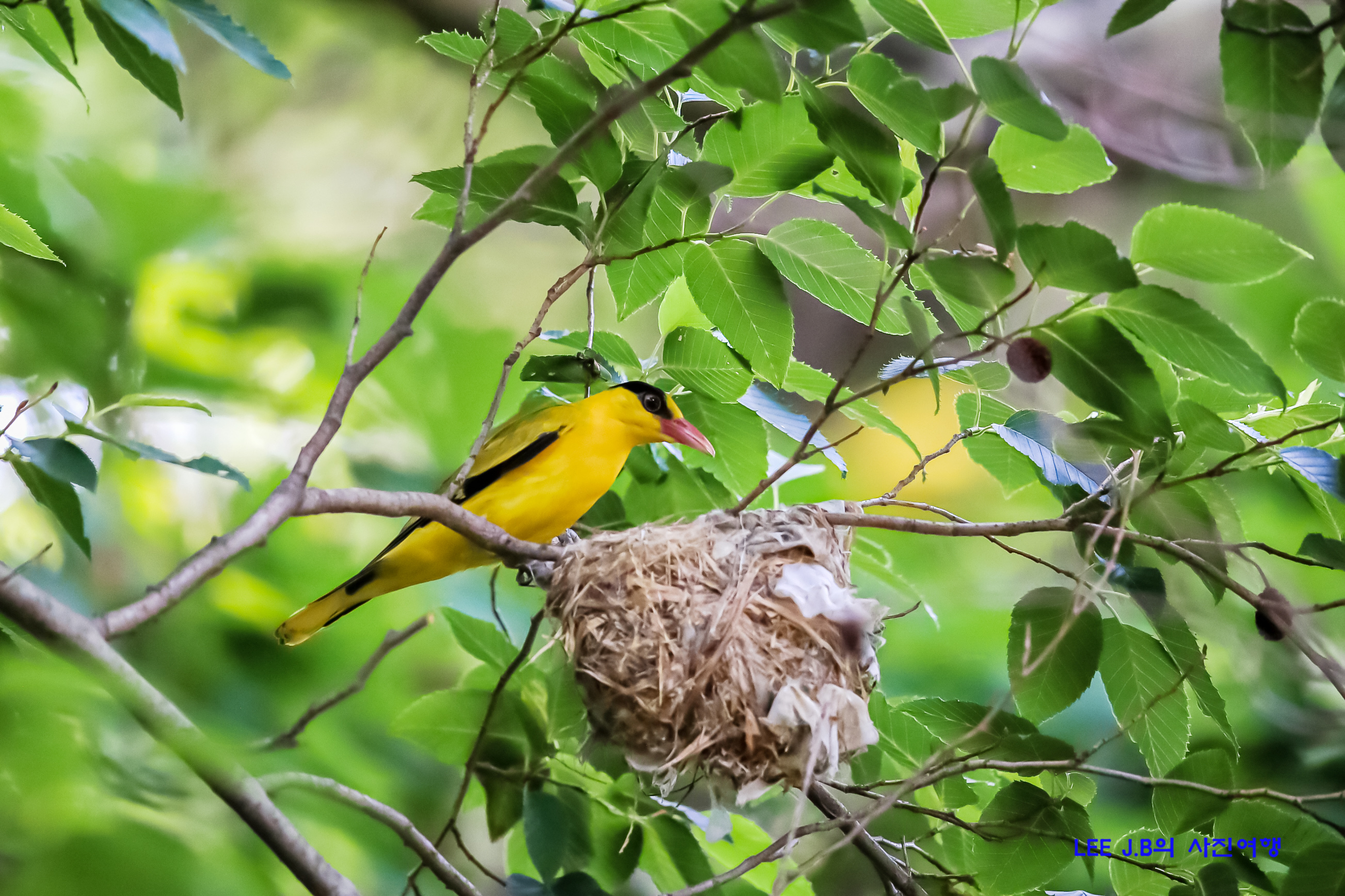 20220619-주전동 (7).JPG