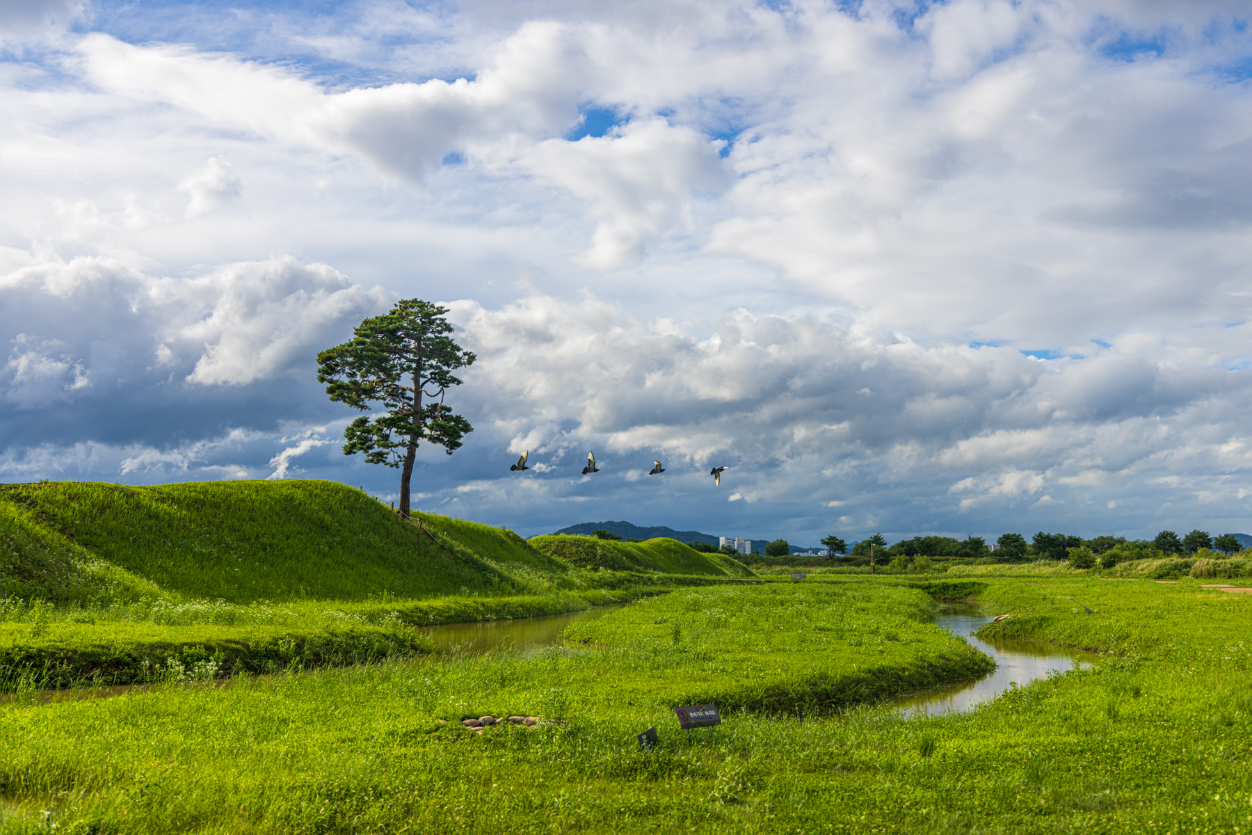 제목 없는 촬영 프로젝트-019-편집.jpg