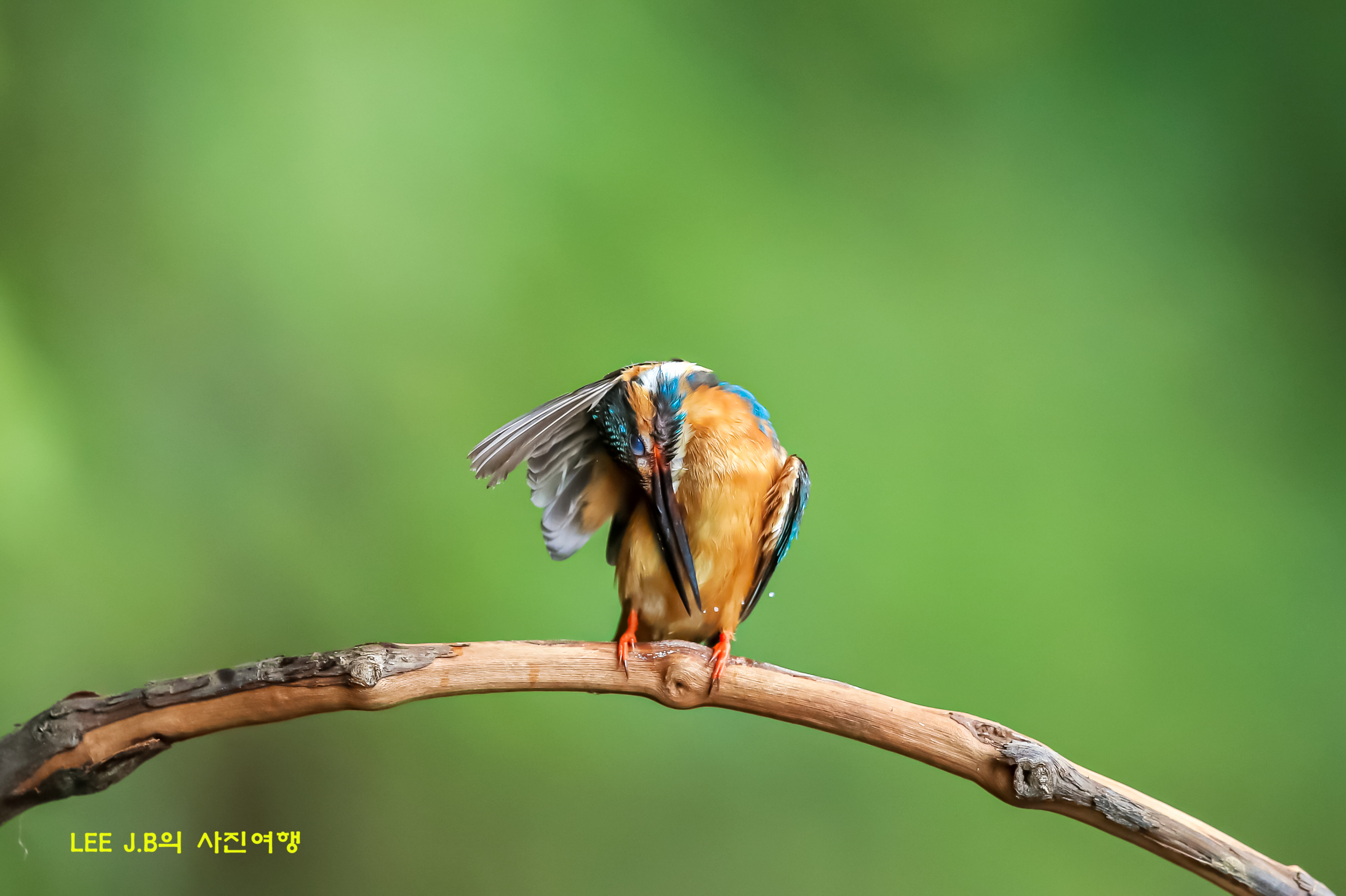 20220620-범서 (22).JPG