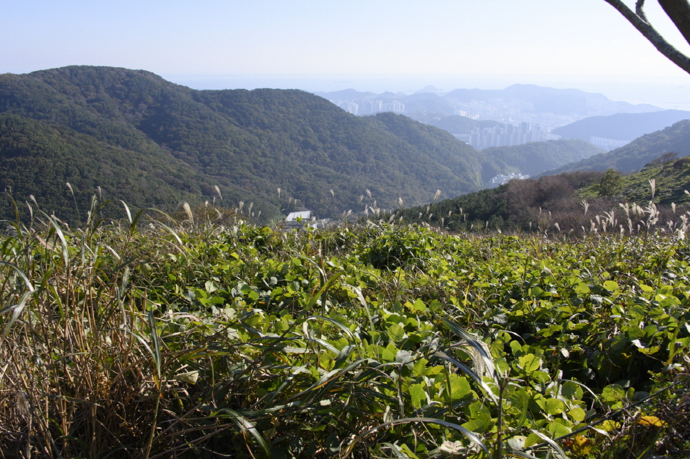 [크기변환]2200[크기변환]2200slzhs z7_3.JPG