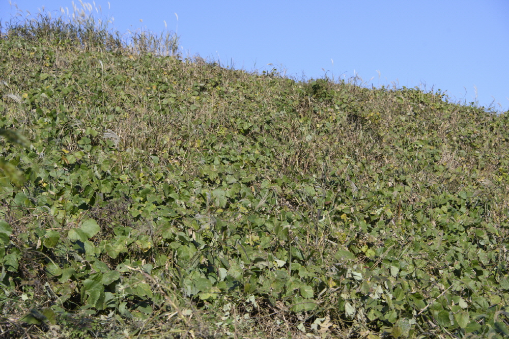 [크기변환]2200[크기변환]2200slzhs z7_5.JPG