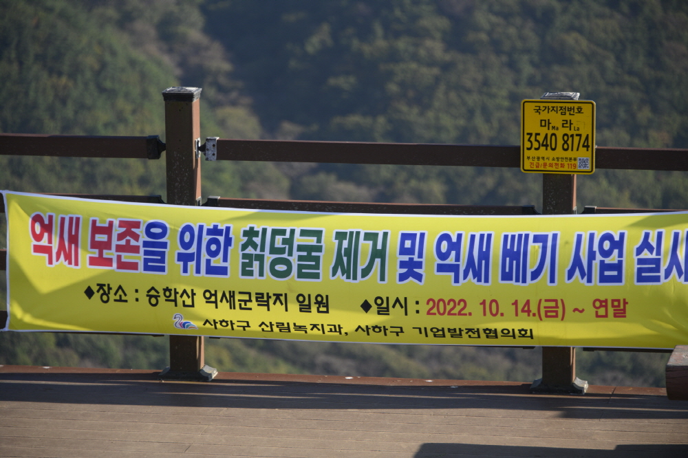 [크기변환]2200[크기변환]2200slzhs z7_60.JPG