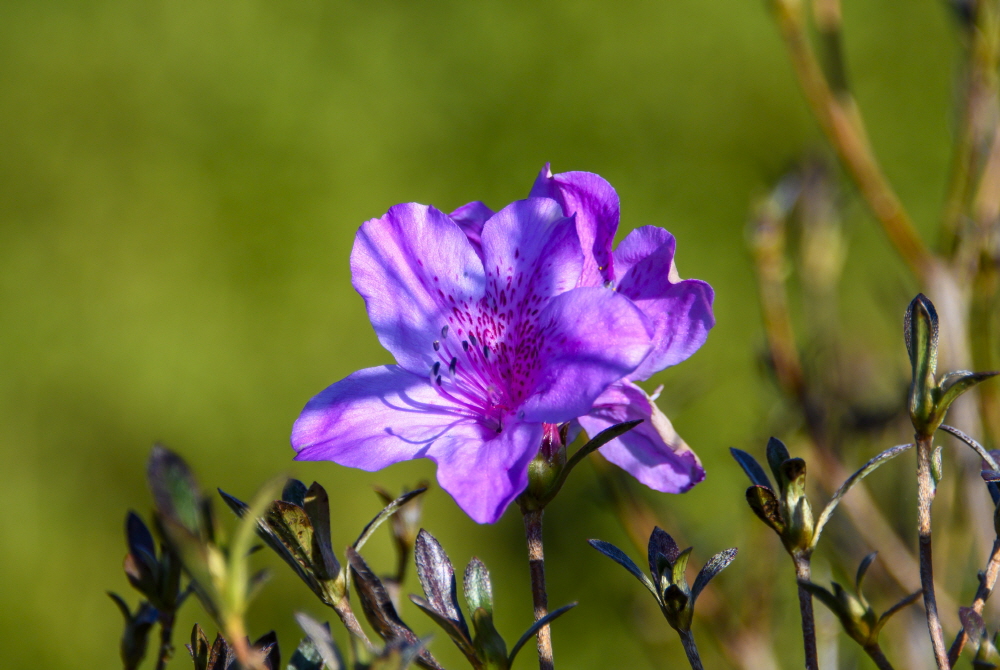 [크기변환]2200slzhs z7_51.JPG