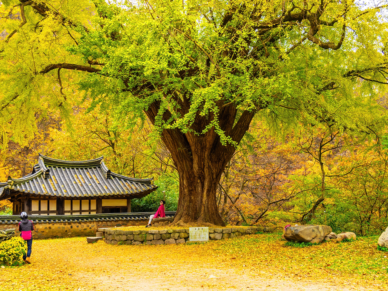 운곡서원.jpg