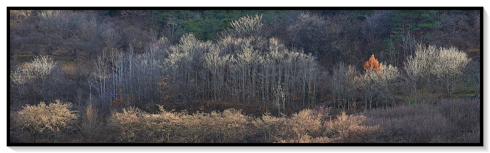 DSC_0151 - 복사본.JPG