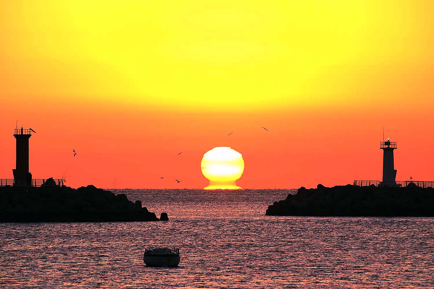 물건항 일출117.JPG